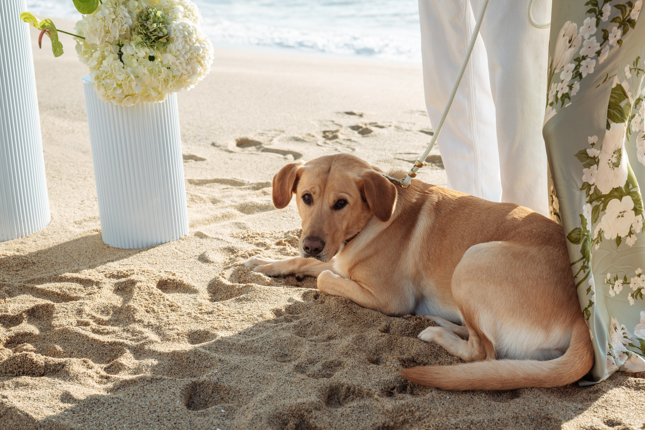 Y ♡ I. Wedding & Elopement Photographers in California
