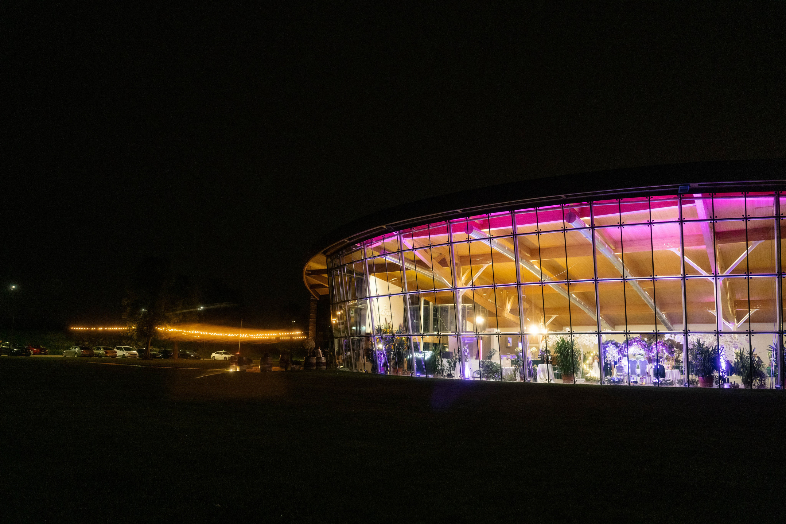 Cosmin & Georgiana. Studio Timis