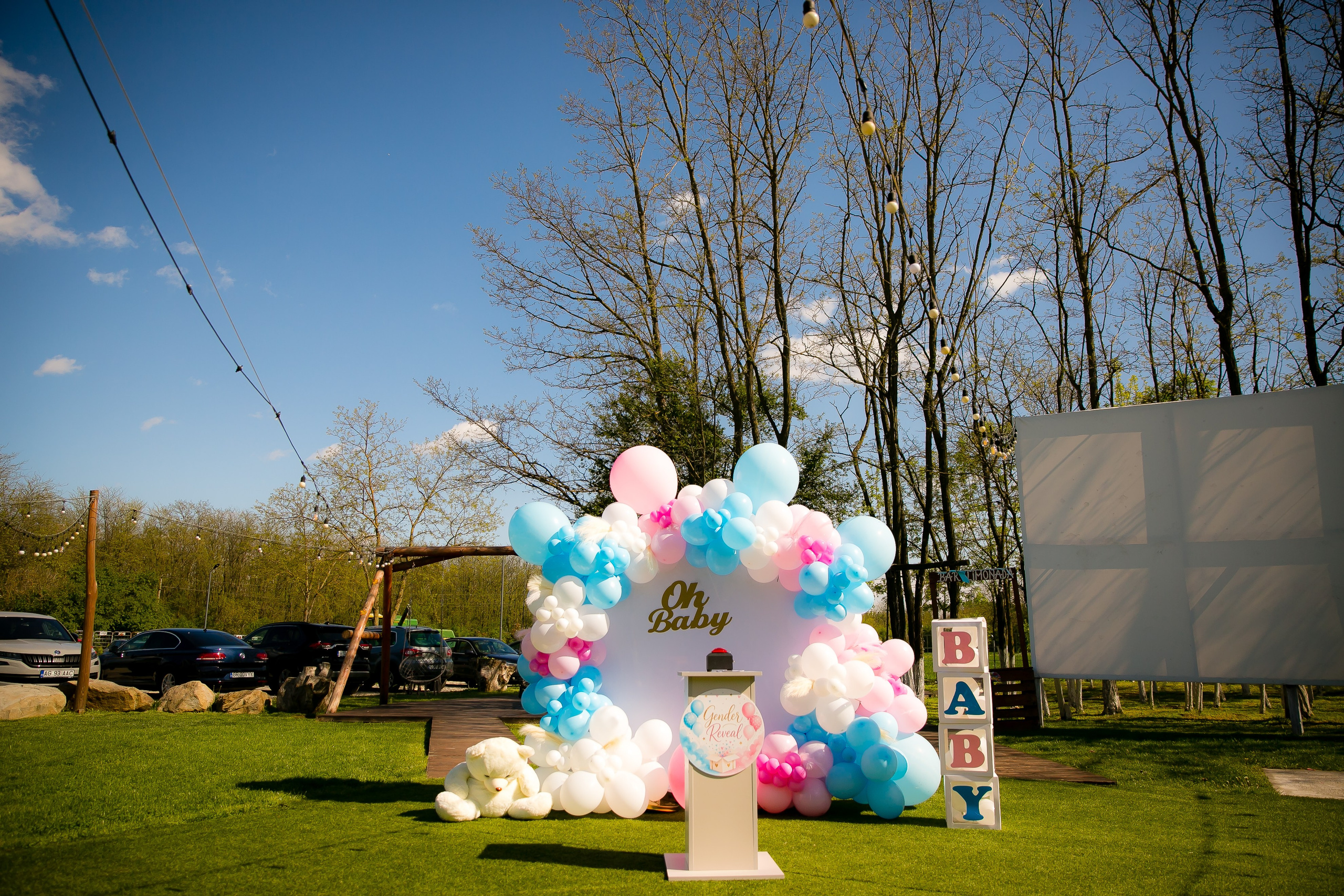 C&D | Gender Reveal. DP Events — echipă foto-video din București, capturăm emoții și transformăm momentele în amintiri autentice