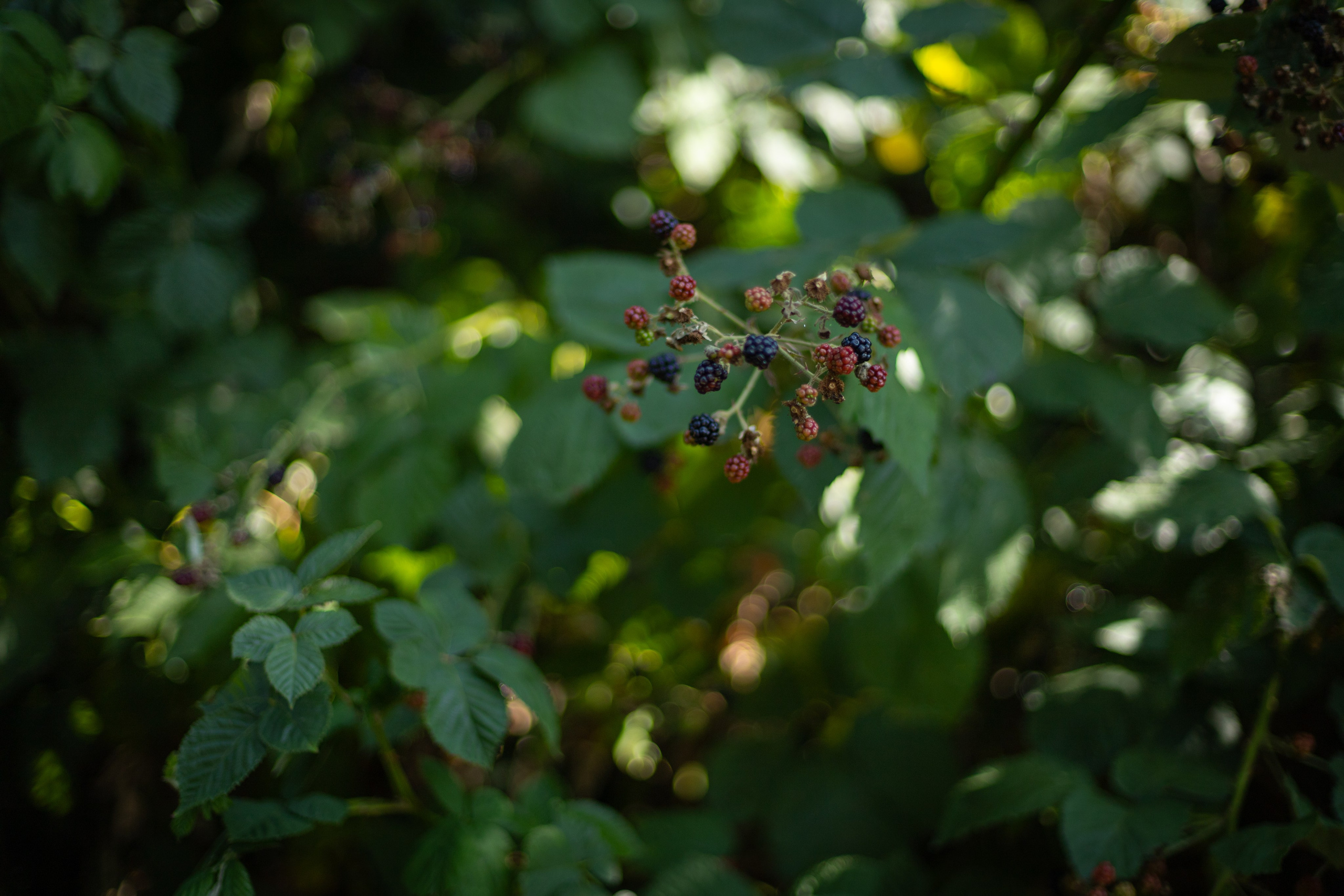 Mit Oma. PHOTOgrapher Germany MARBURG
