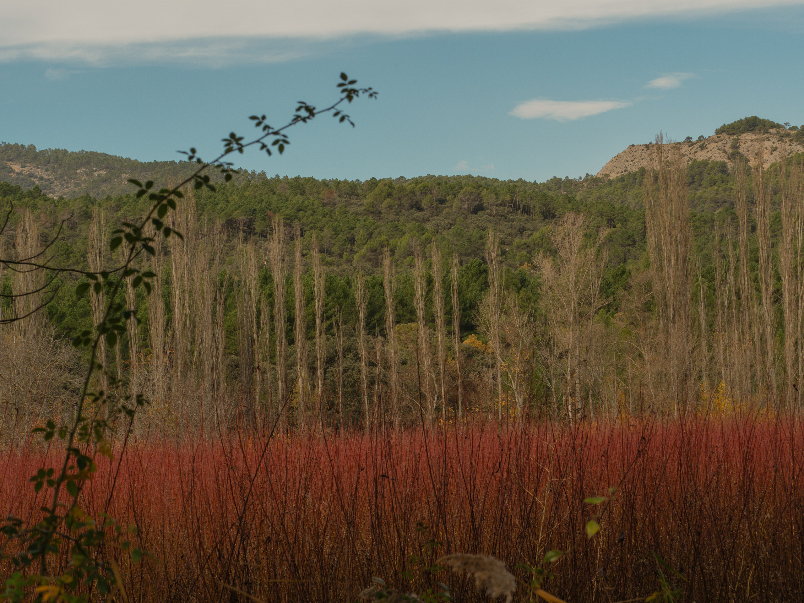 Paisajismo. Fotógrafa de Periodismo y Documentación, Teatro, Cine, Shooting para Modelos, Bodas, Bautizos, Comuniones, Familia y Eventos