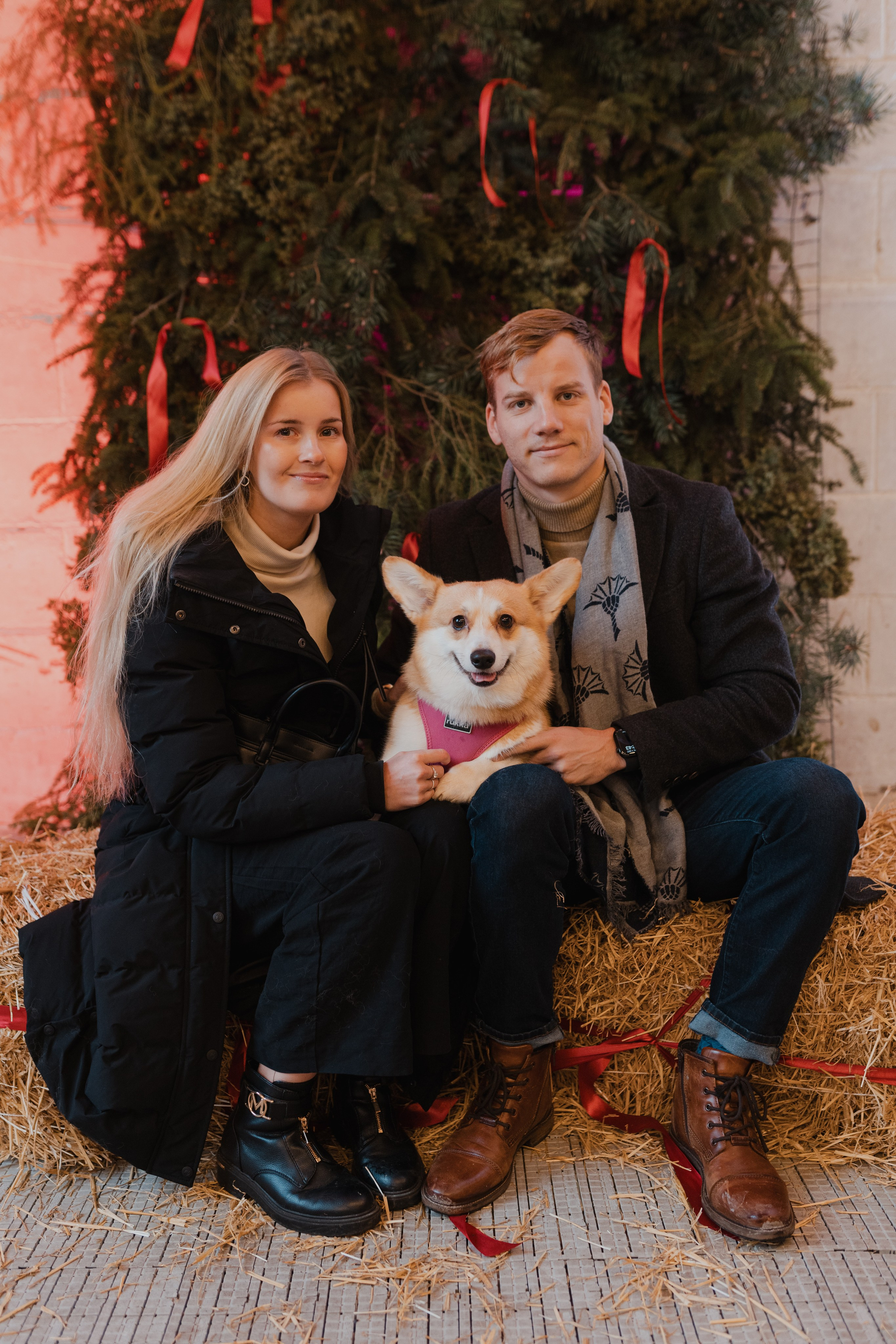 Corgi fest. Event Photography