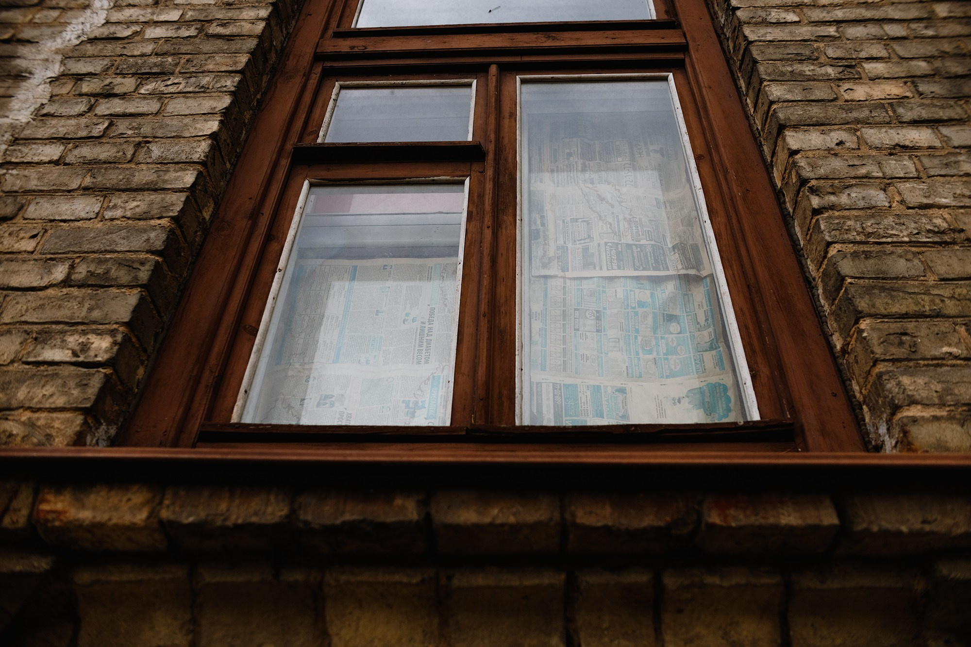 Grodno. Kaja | fotograf we Wrocławiu | ludzie i psy