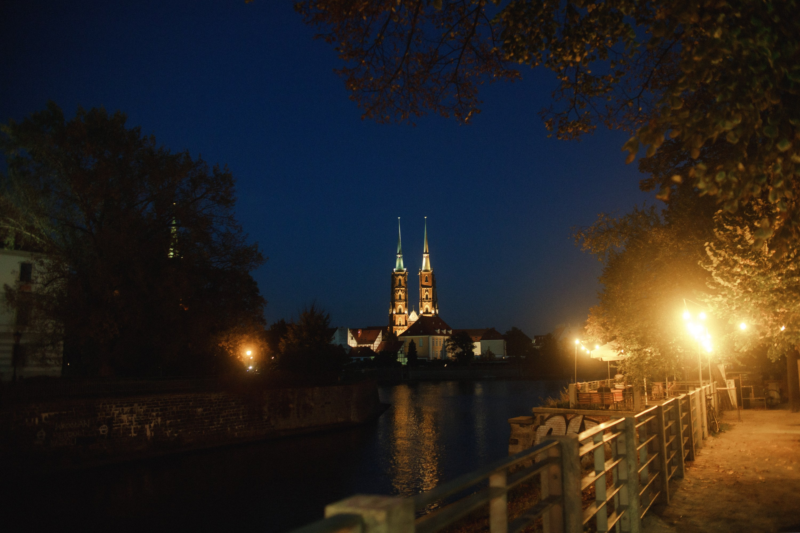 Nastya. Kaja | fotograf psów we Wrocławiu