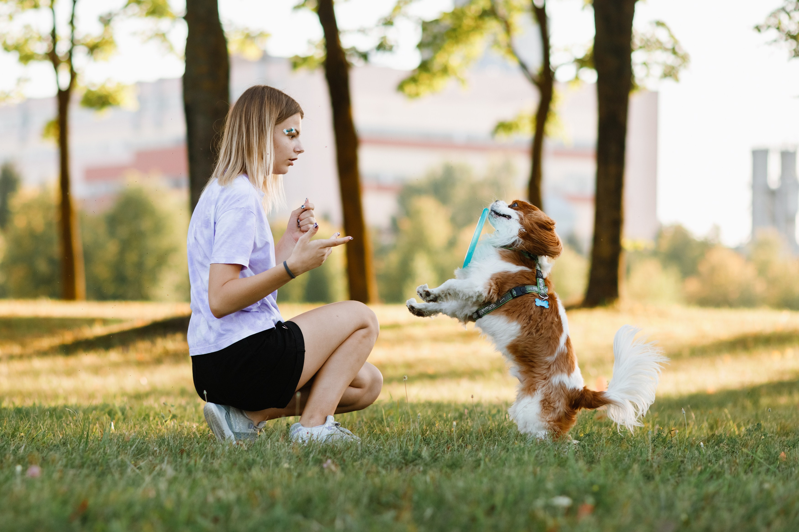 Frisbee workshop of Darya Lukina. Kaja | fotograf we Wrocławiu | ludzie i psy