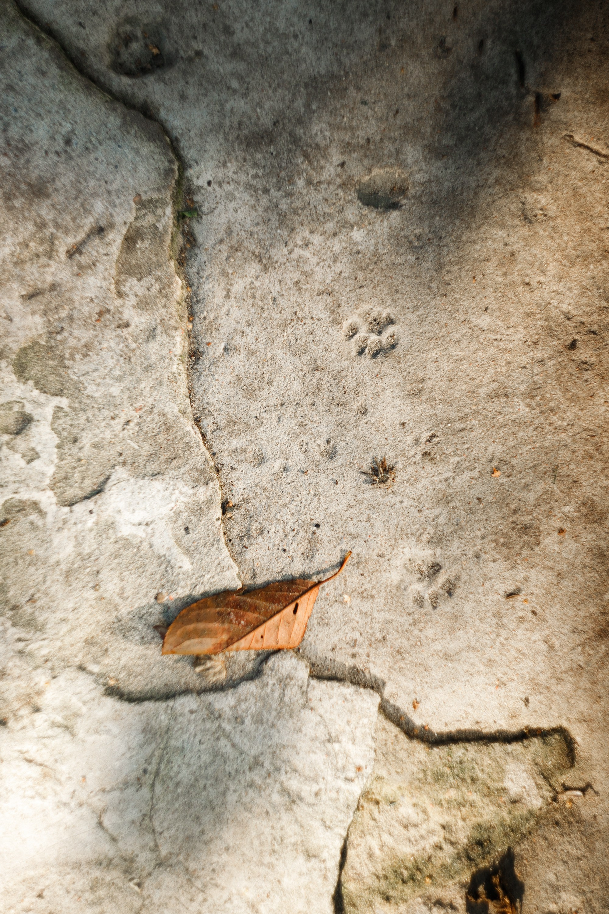 Grandmother's home in Brest. Kaja | fotograf we Wrocławiu | ludzie i psy