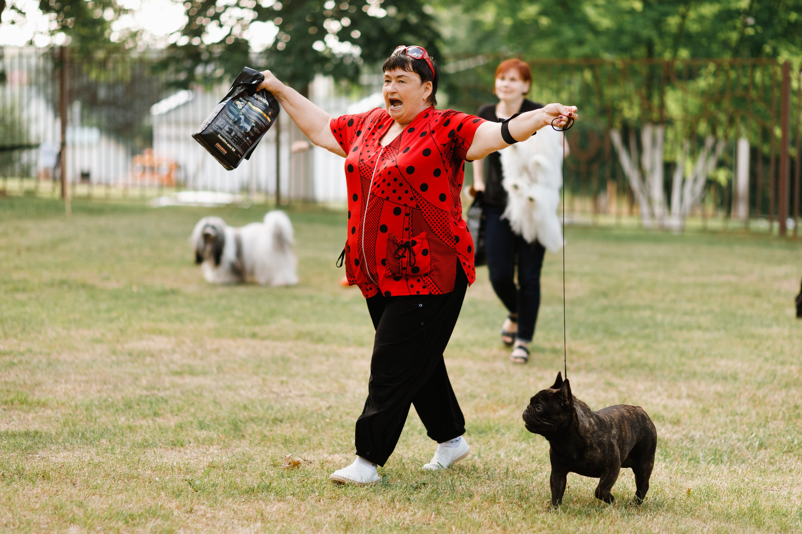 Dog shows | the best ones. Kaja | fotograf psów we Wrocławiu