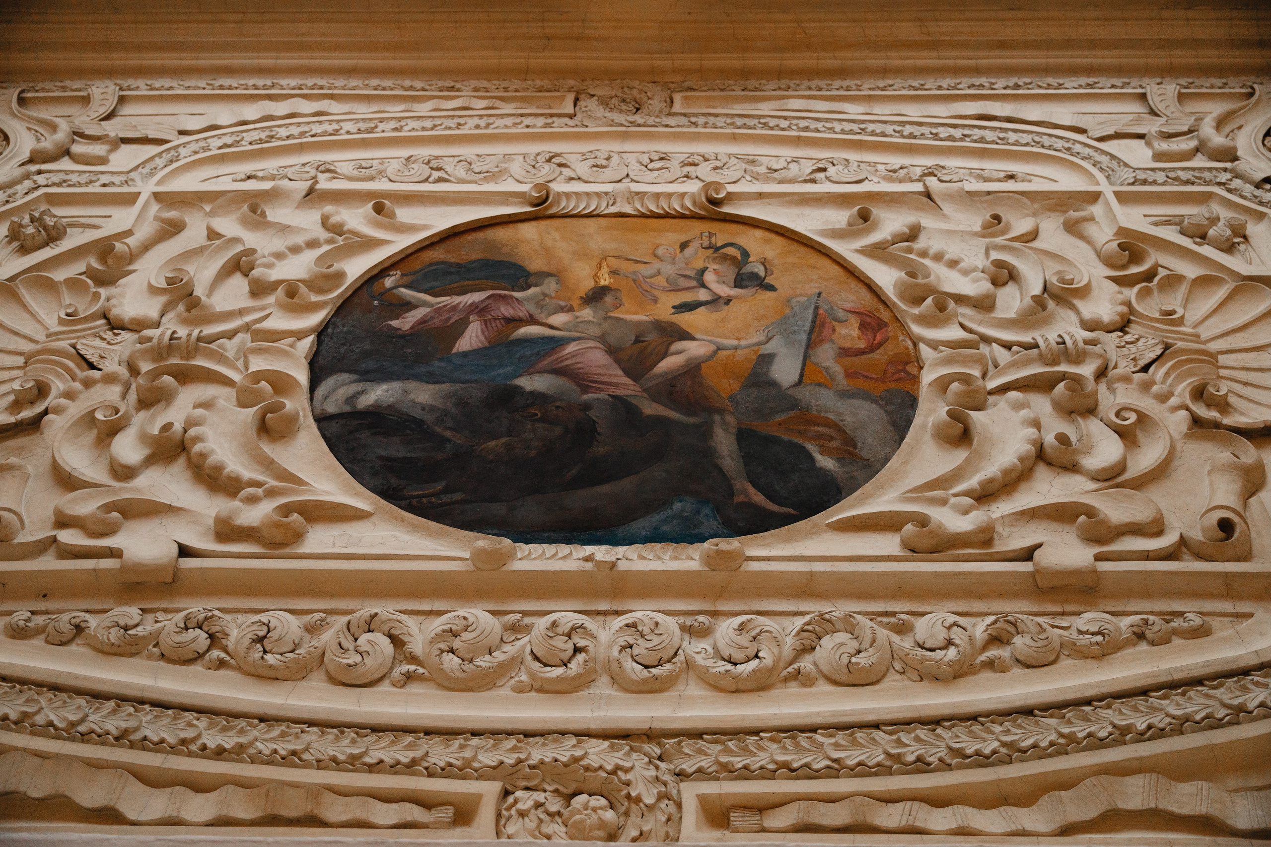 Oleśnica castle. Kaja | fotograf psów we Wrocławiu