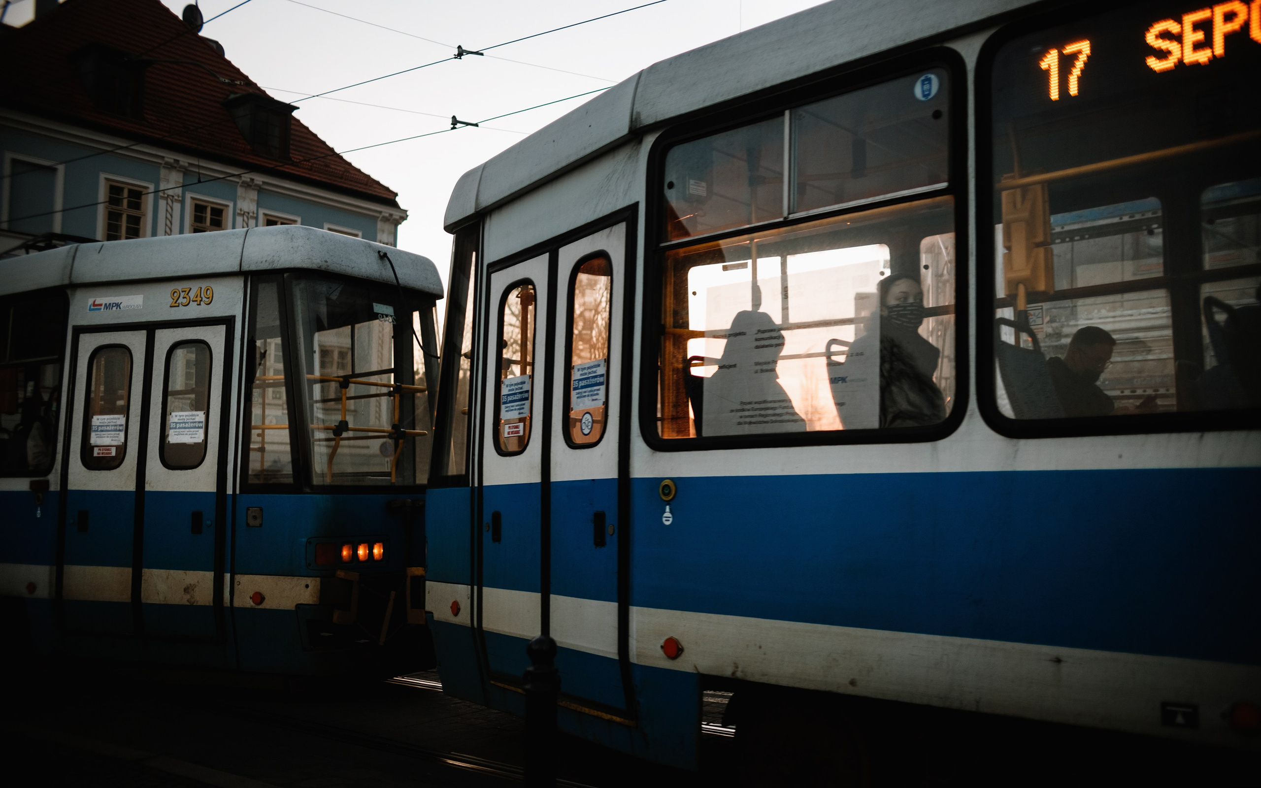 Nastya. Kaja | fotograf psów we Wrocławiu