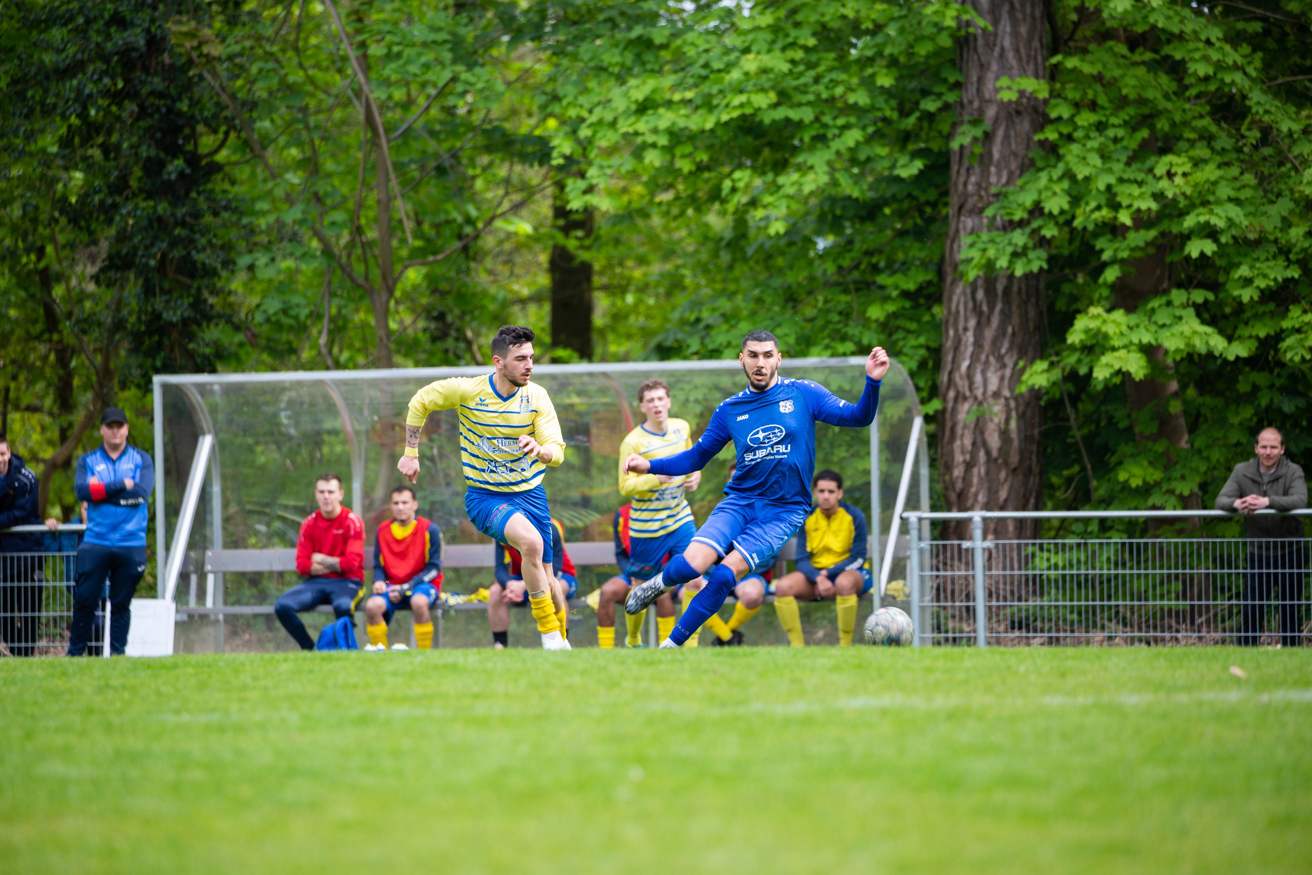 Sports. Family, portrait, and lifestyle photoshoots in Belgium