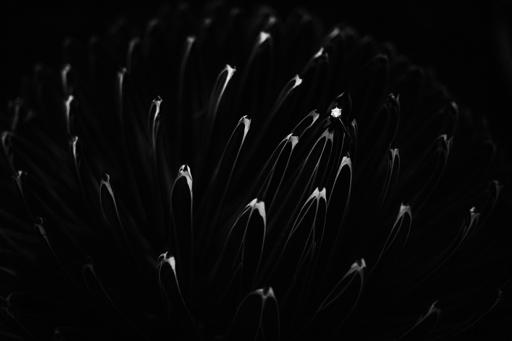 Galería Getting Ready. Jorge Romero Fotógrafo de bodas