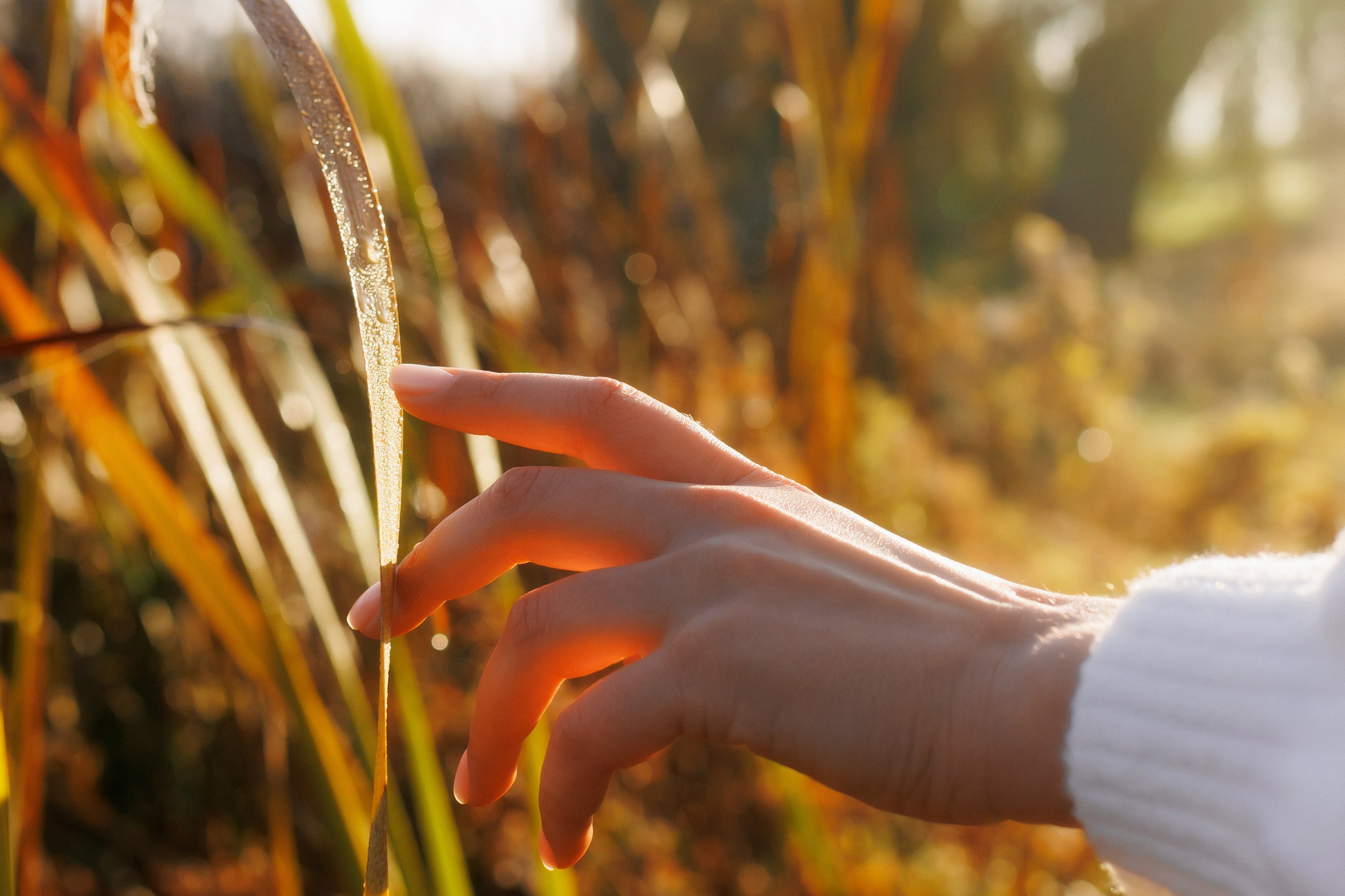MARIANA — AUTUMN TIME. Fulga Photographer
