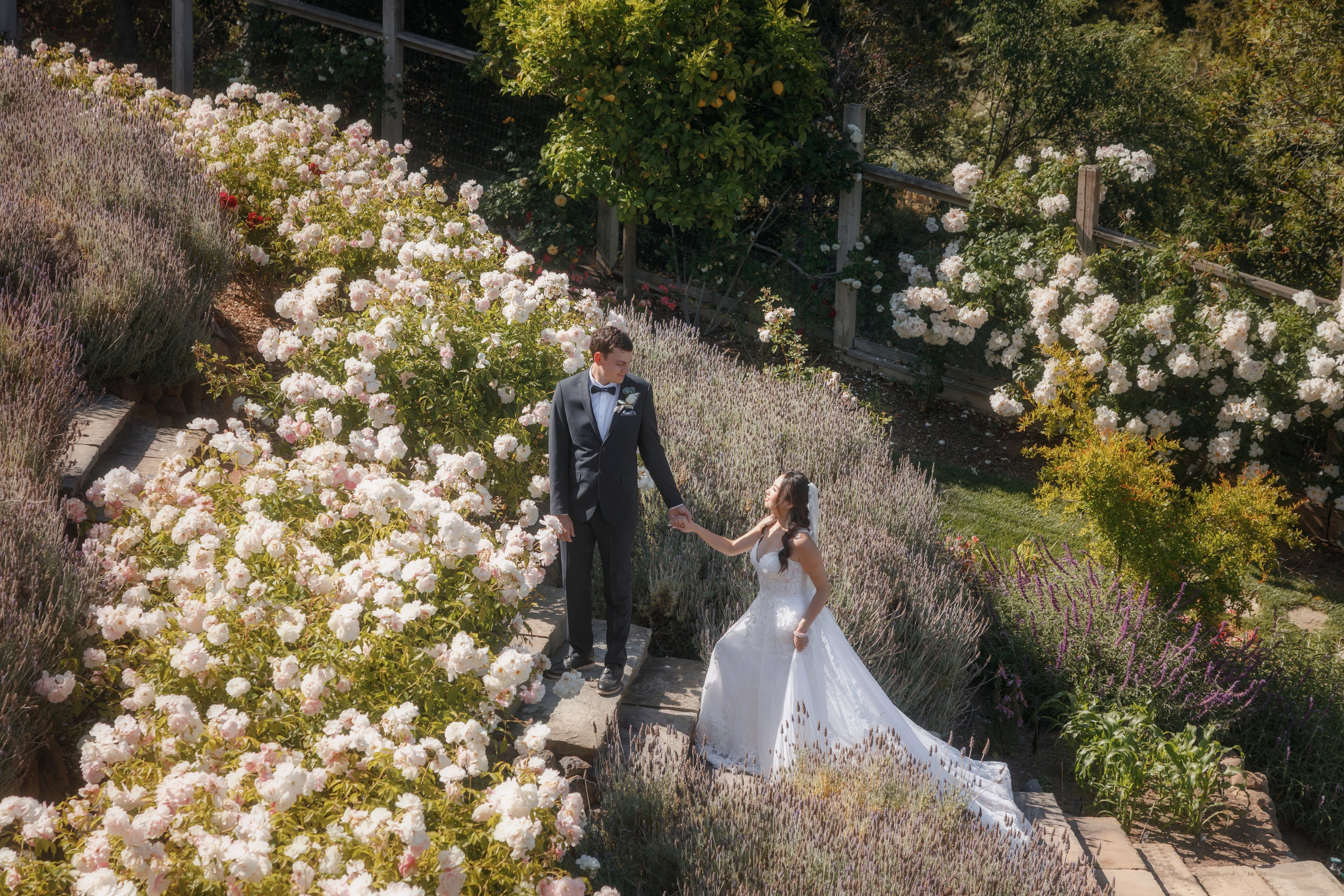 Wedding. Family and Event photographer in Bay Area Elena Tiuriumina