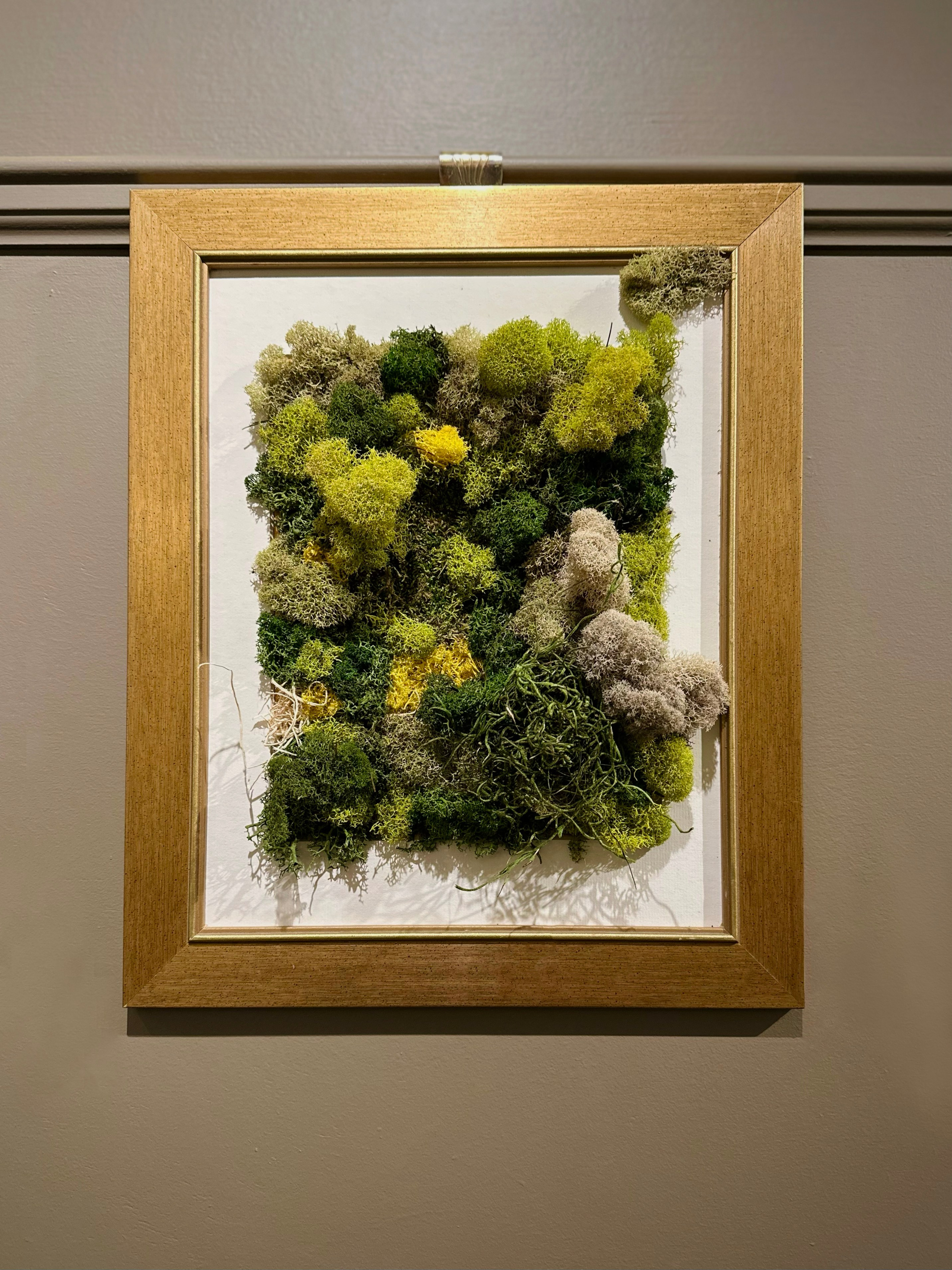 Anna & Moss magic, Content. Yana Bobrova | Artistic Photography