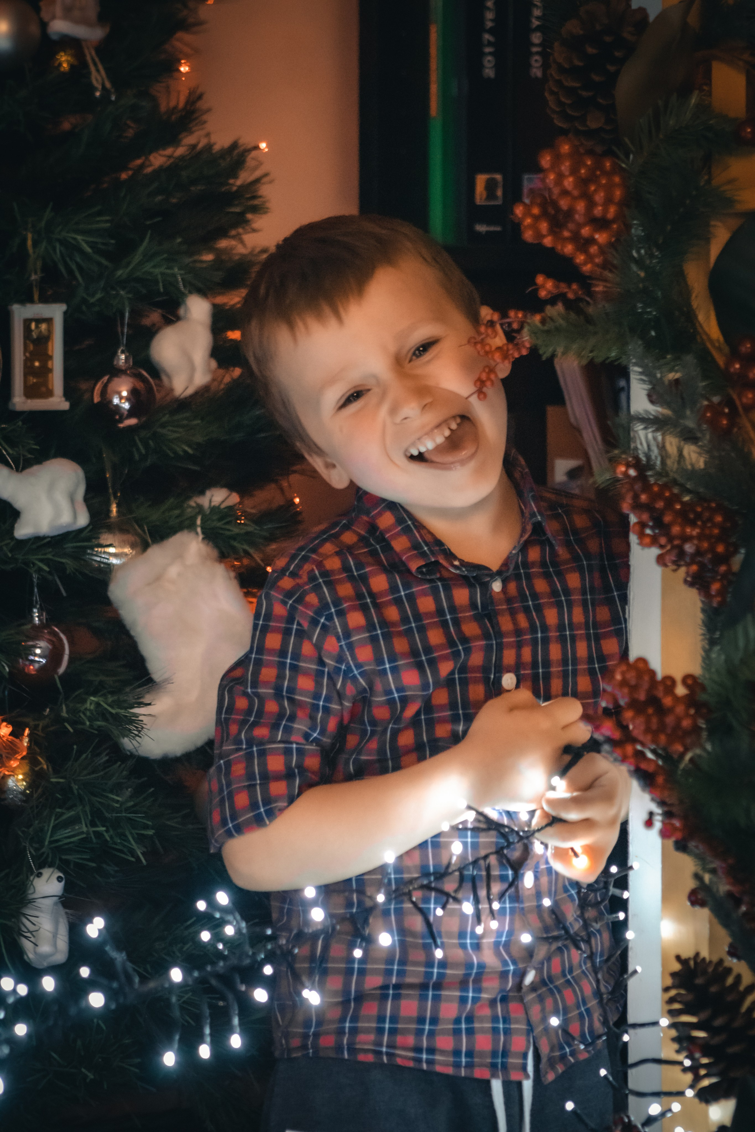 Family christmas mood. Photographer Co Dublin, Balbriggan — Agata Maliseva
