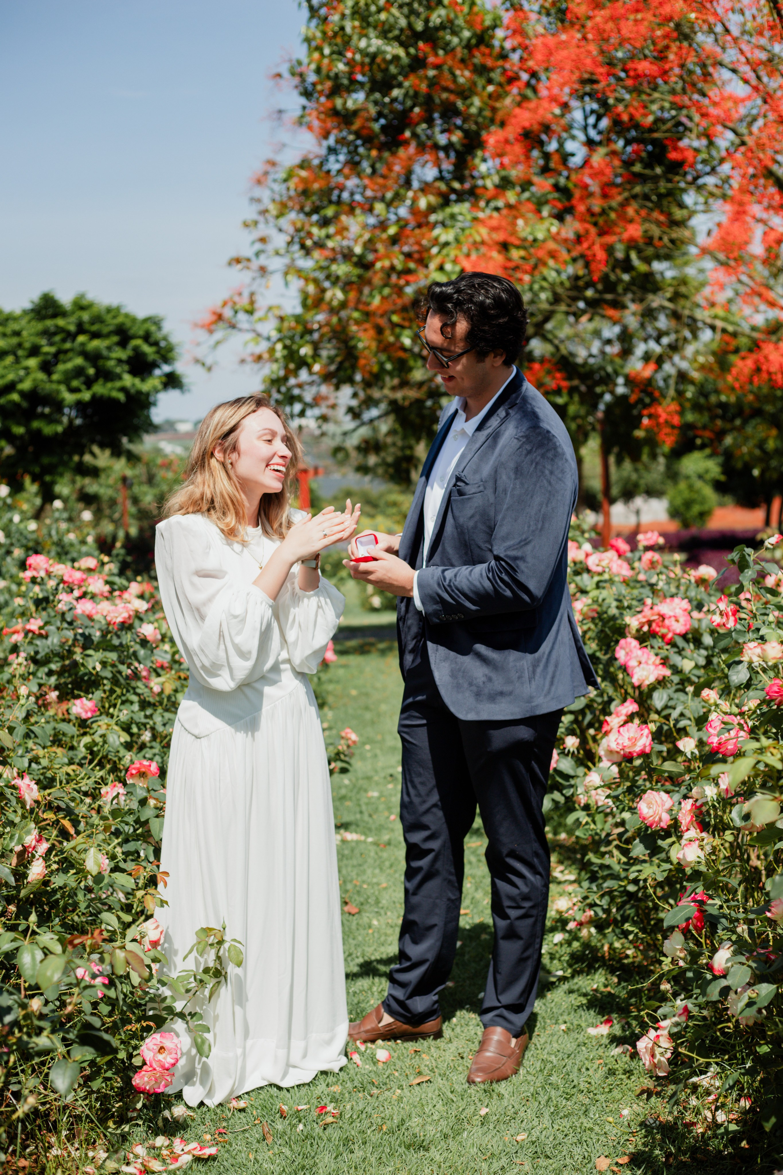 Pedido de Casamento /Bloemen Park. Joyce Maria Fotografia | Fotógrafa em Holambra