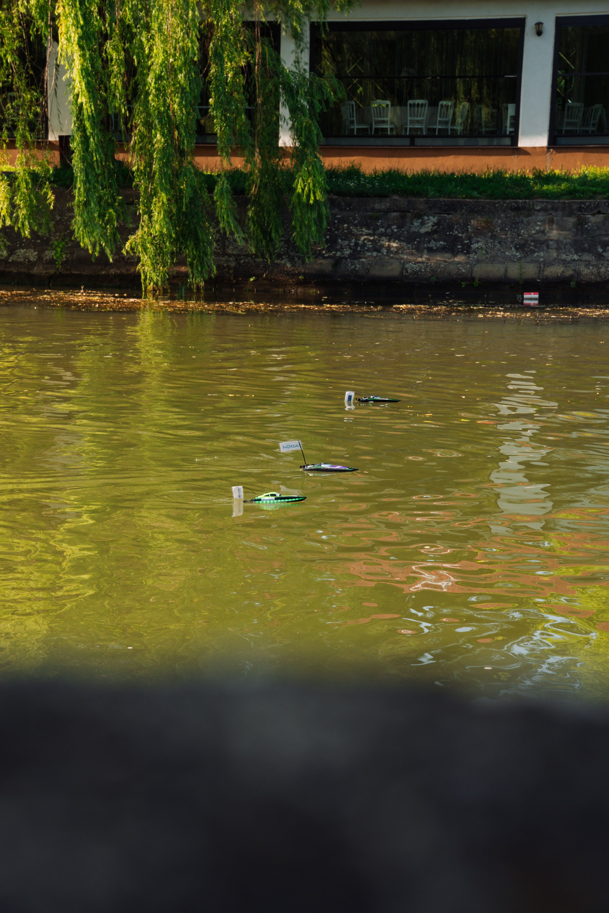 06.04 Bega Boat Race. Cozac Cristian Photographer