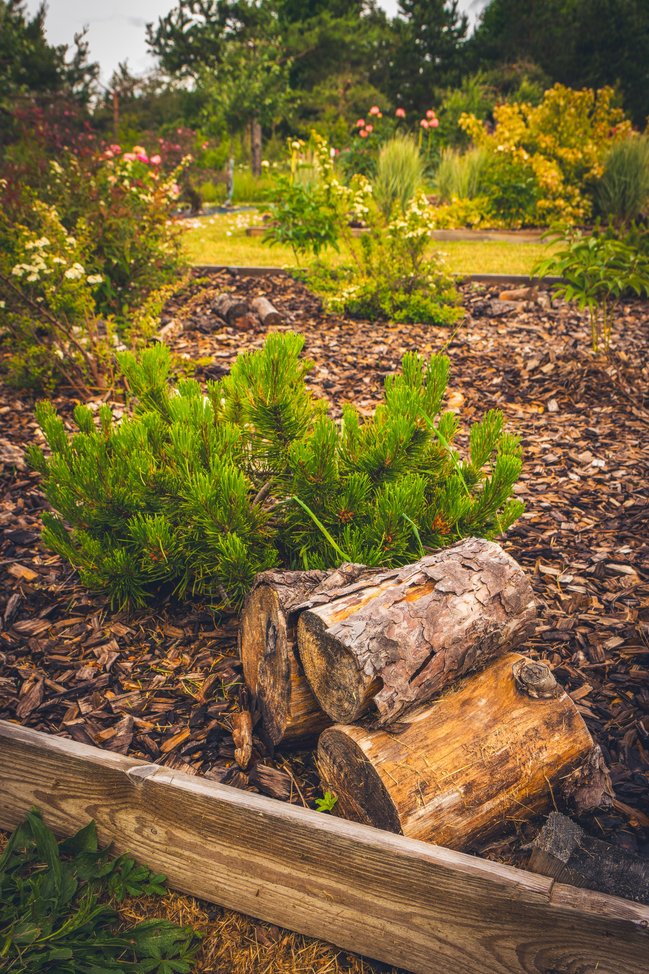 Saarema, reis. Nebula 25 — Fotod teie hingele