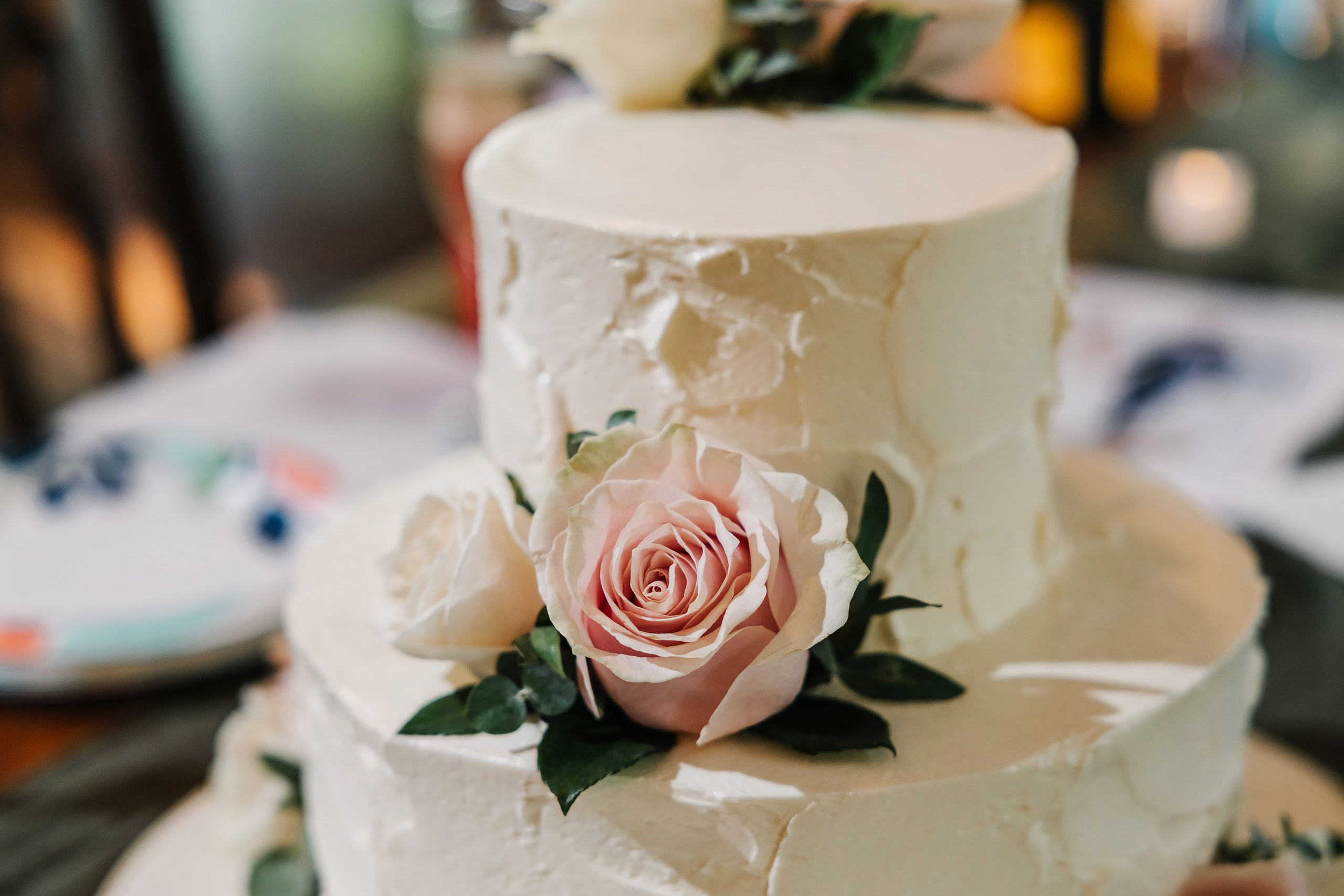 07.12.2025 Wedding. Wedding family event photographer in Chicago Nick Yushevich