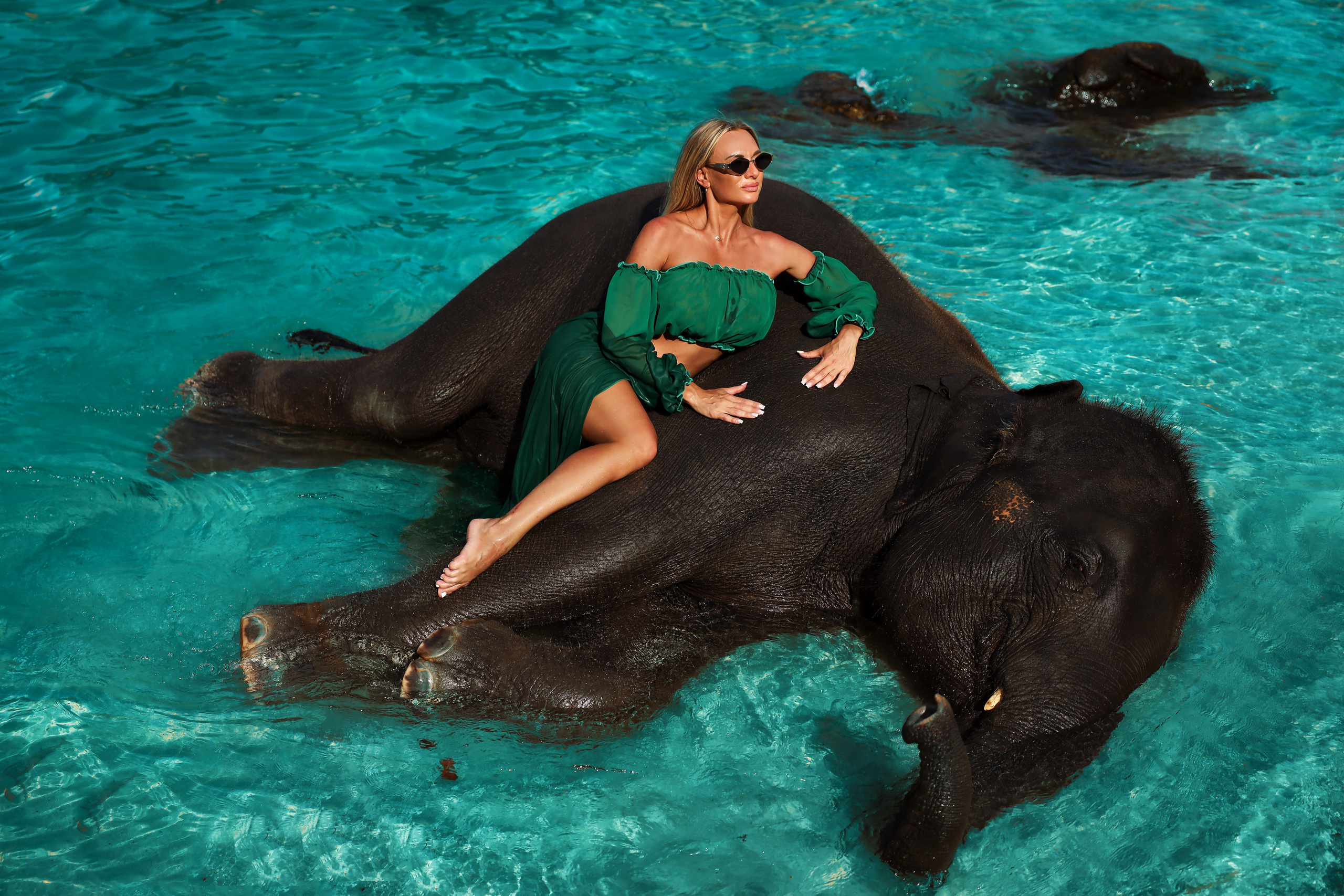 Photo with elephant. Photographer in Phuket. Photographer Thailand