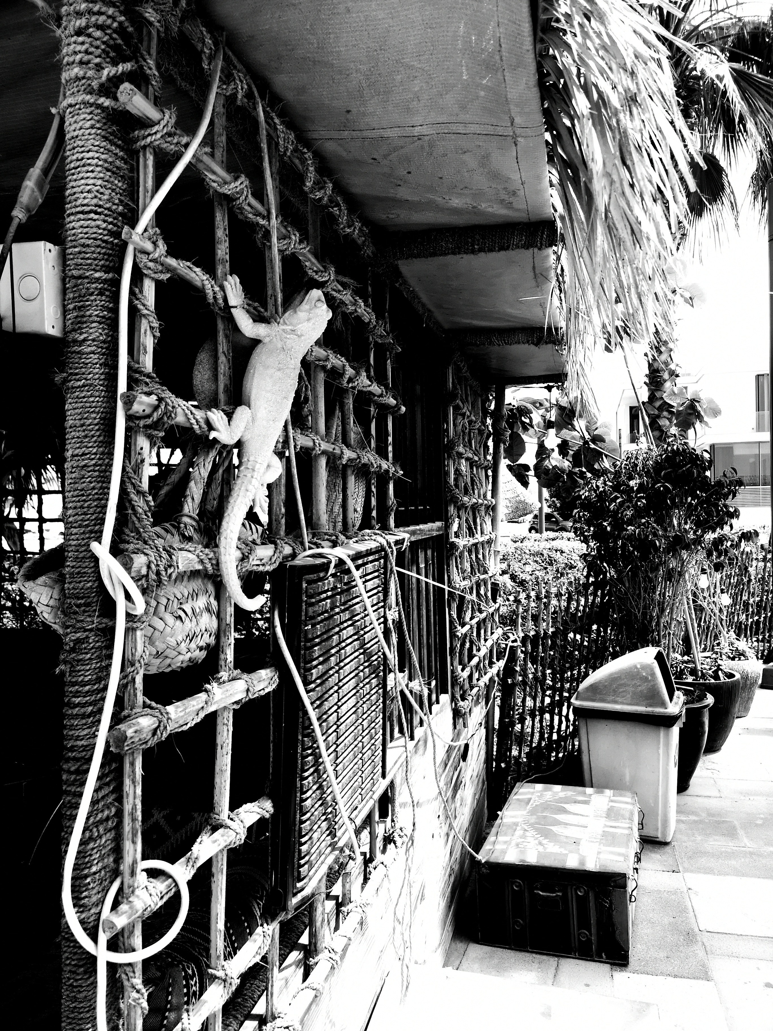 Impact Photo Collecton. Professional Artist, teacher of art, Artistic Photographer In Dubai (U