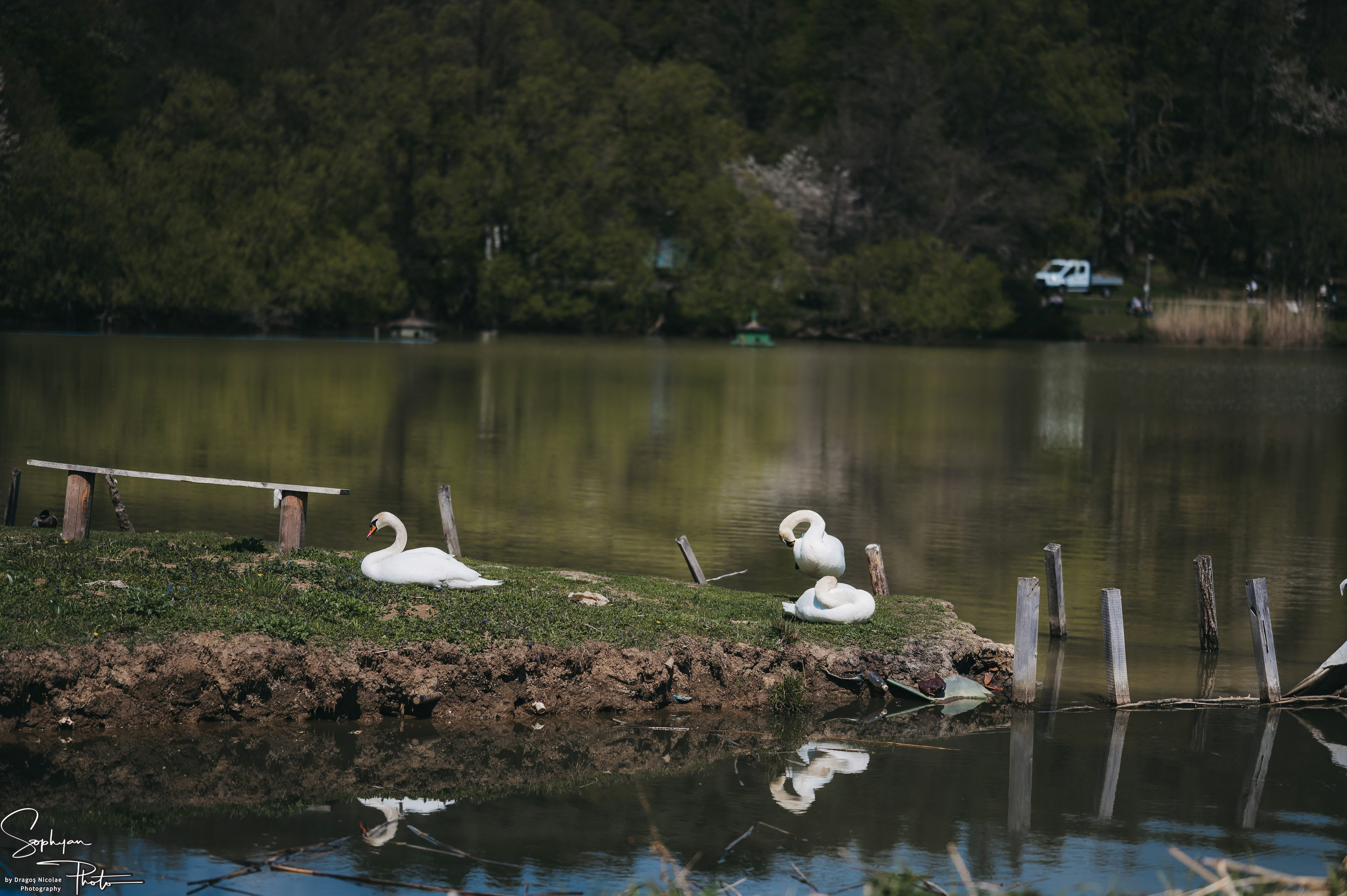 Sedinta foto save the date Andreea&Andrei