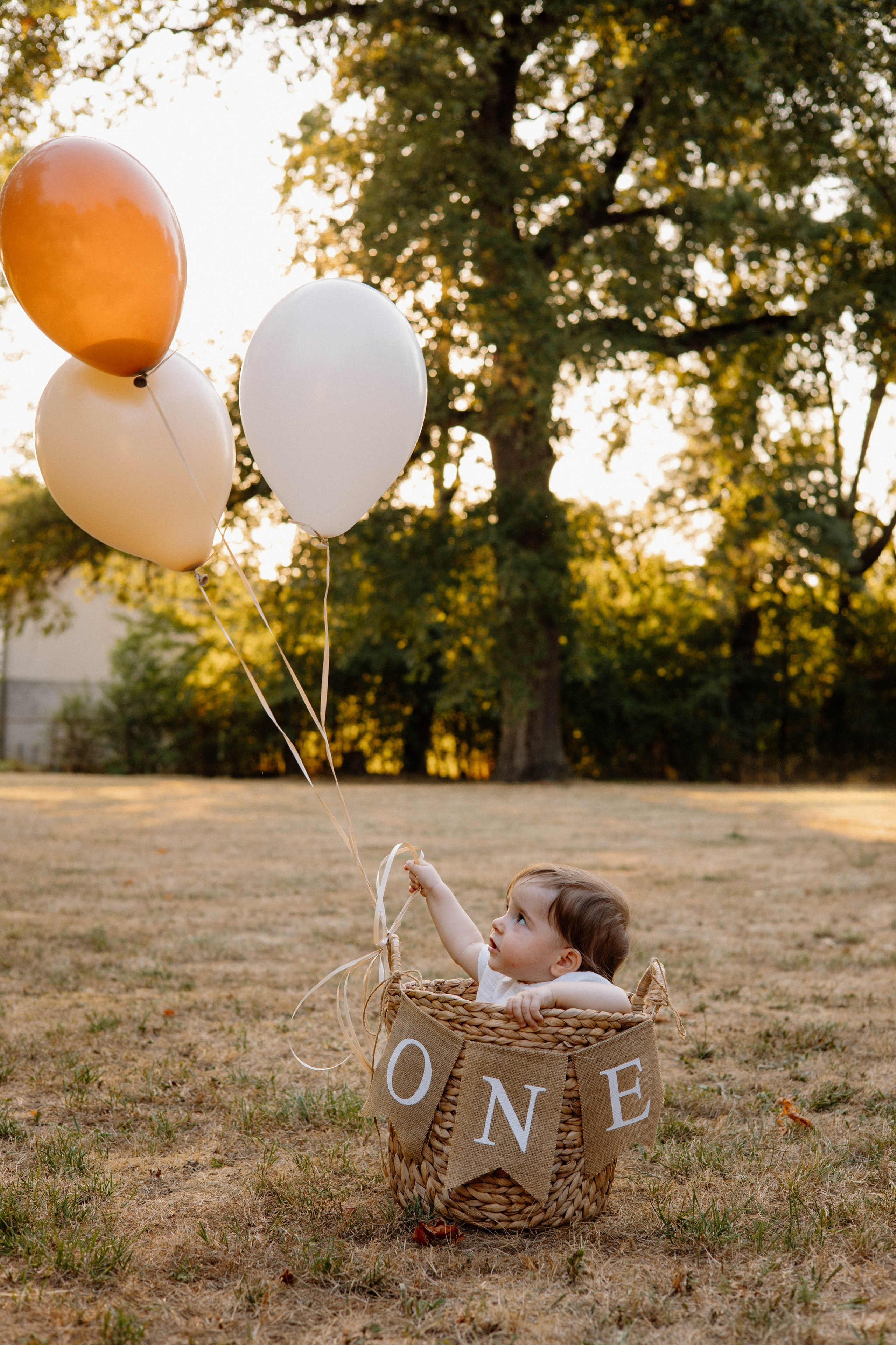 Smash Cake Photography. Family and Wedding Photographer