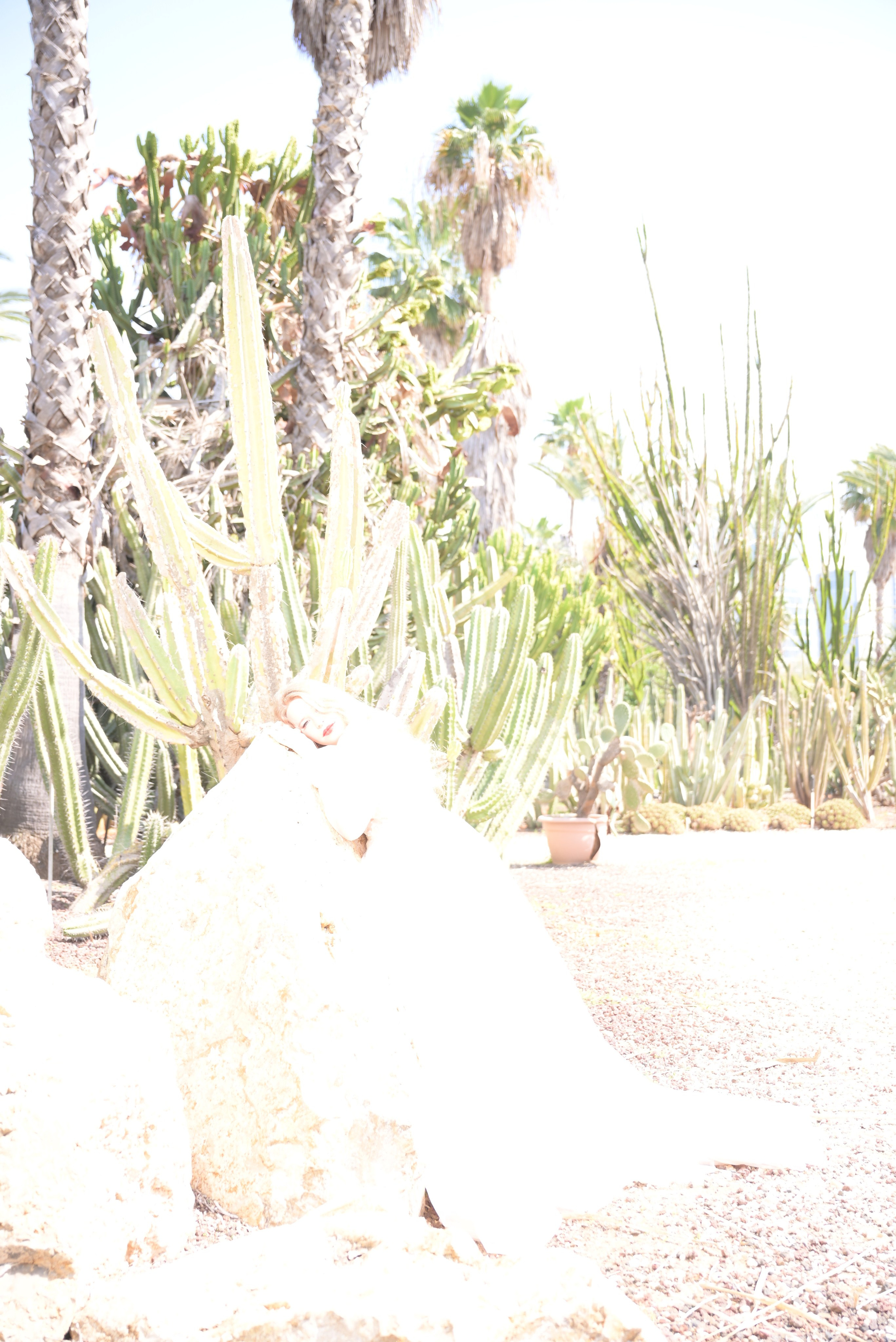 Nicol & Itamar. Wedding and events photographers Studio Shalom