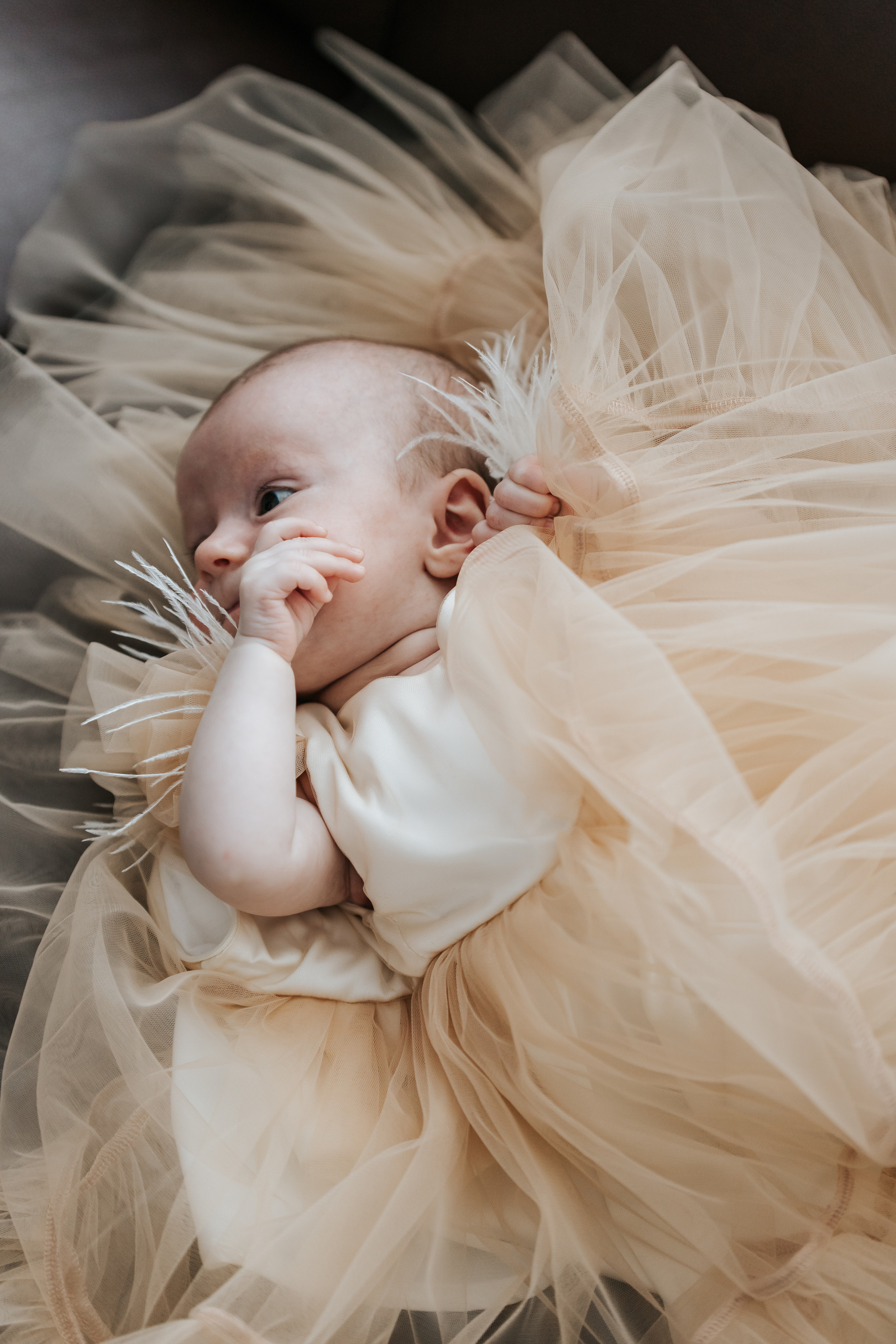 Sofijos krikštynos. Wedding, christening and family photographers in Vilnius, Lithuania