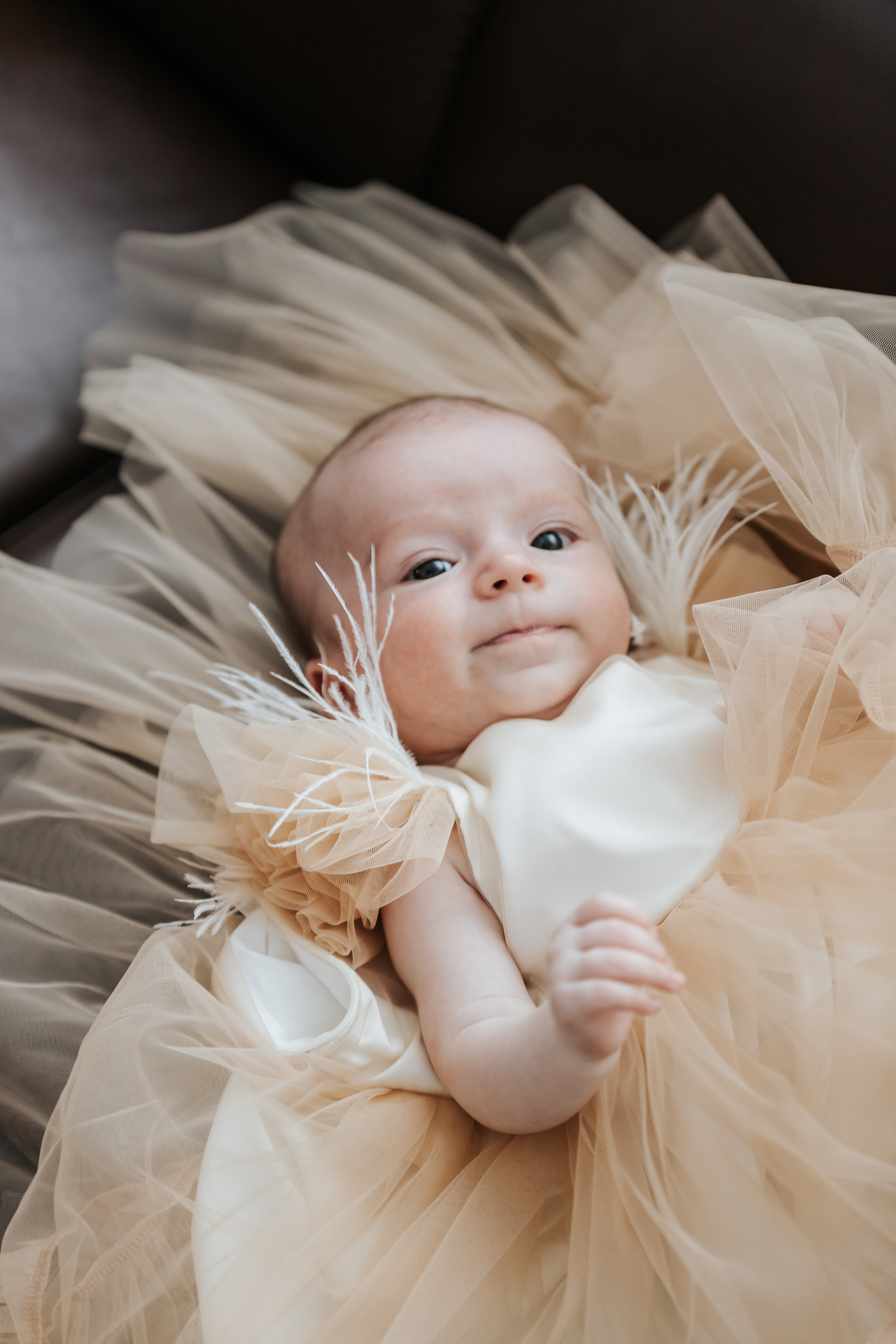 Sofijos krikštynos. Wedding, christening and family photographers in Vilnius, Lithuania