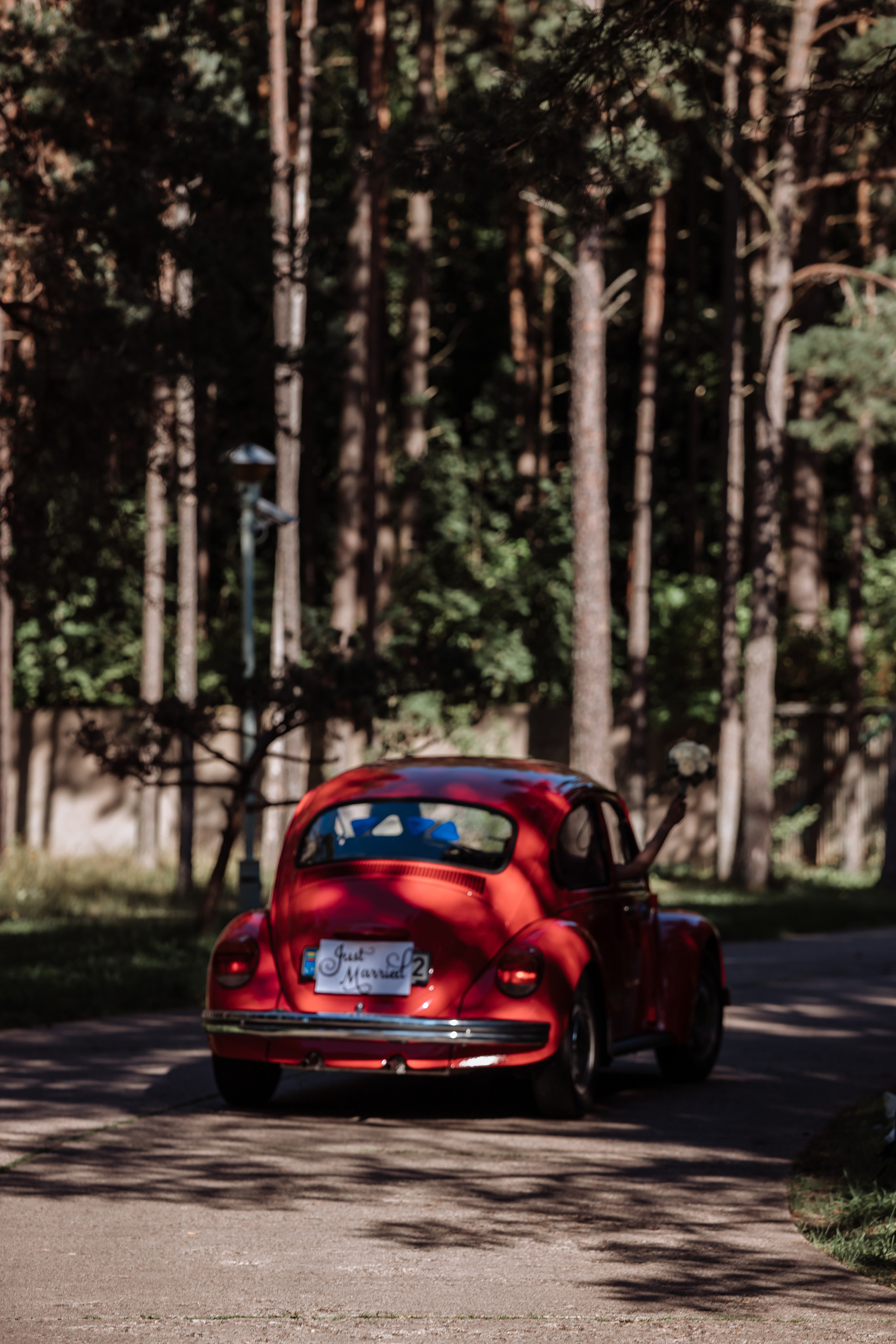 Simona & Martynas. Wedding, christening and family photographers in Vilnius, Lithuania