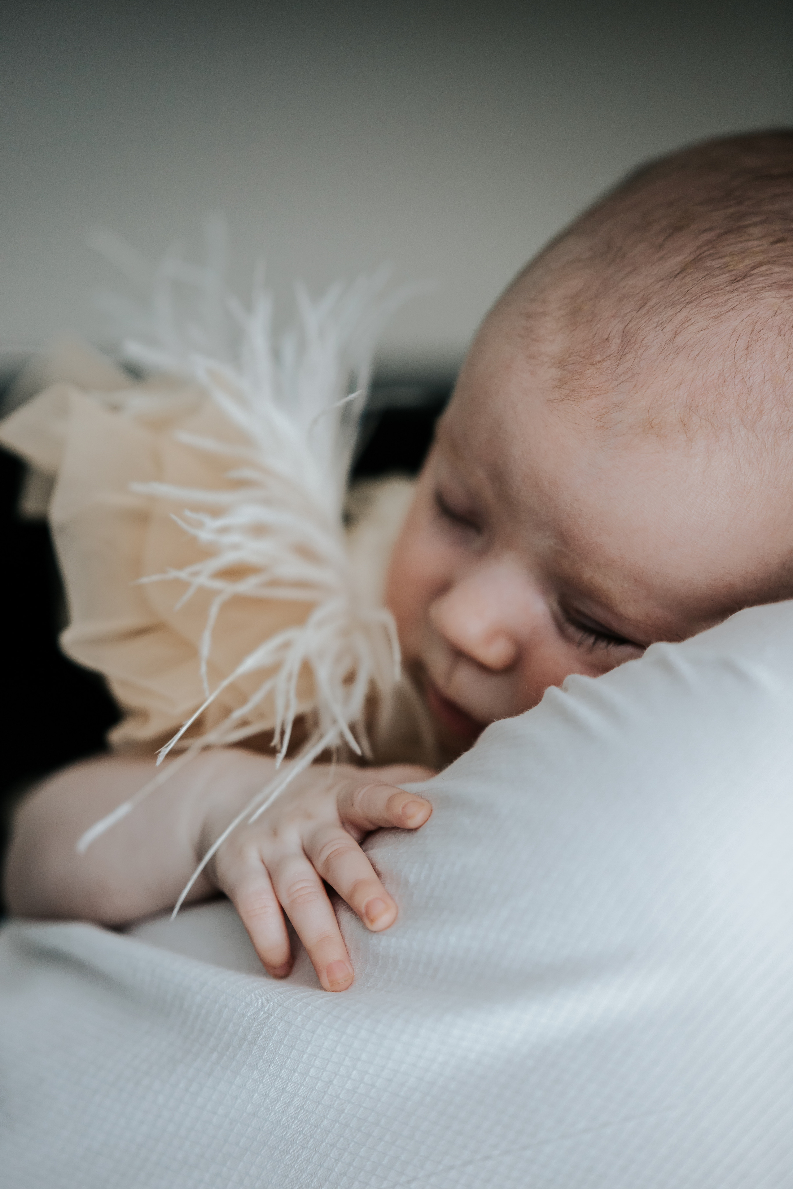 Sofijos krikštynos. Wedding, christening and family photographers in Vilnius, Lithuania