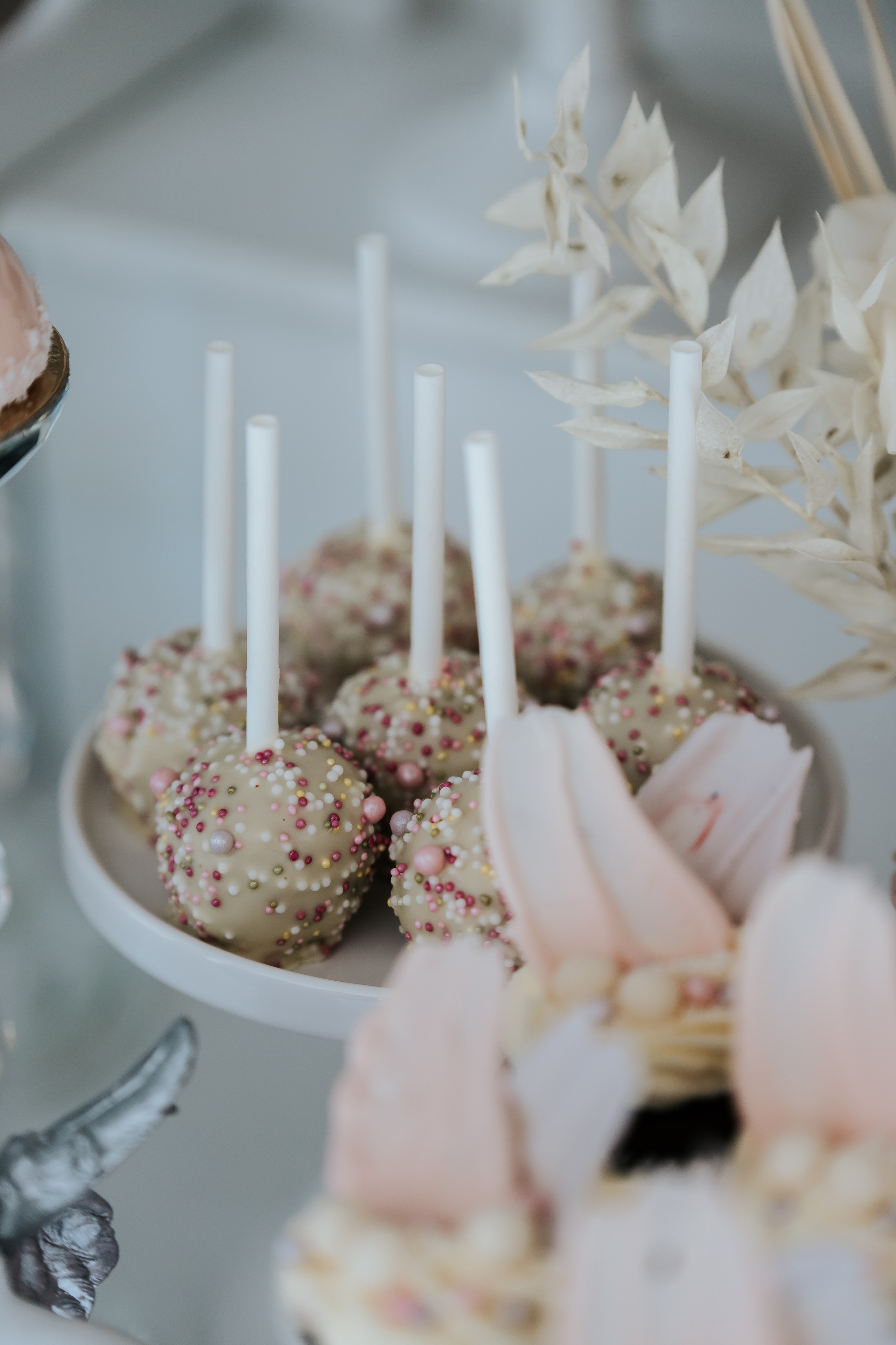 Sofijos krikštynos. Wedding, christening and family photographers in Vilnius, Lithuania