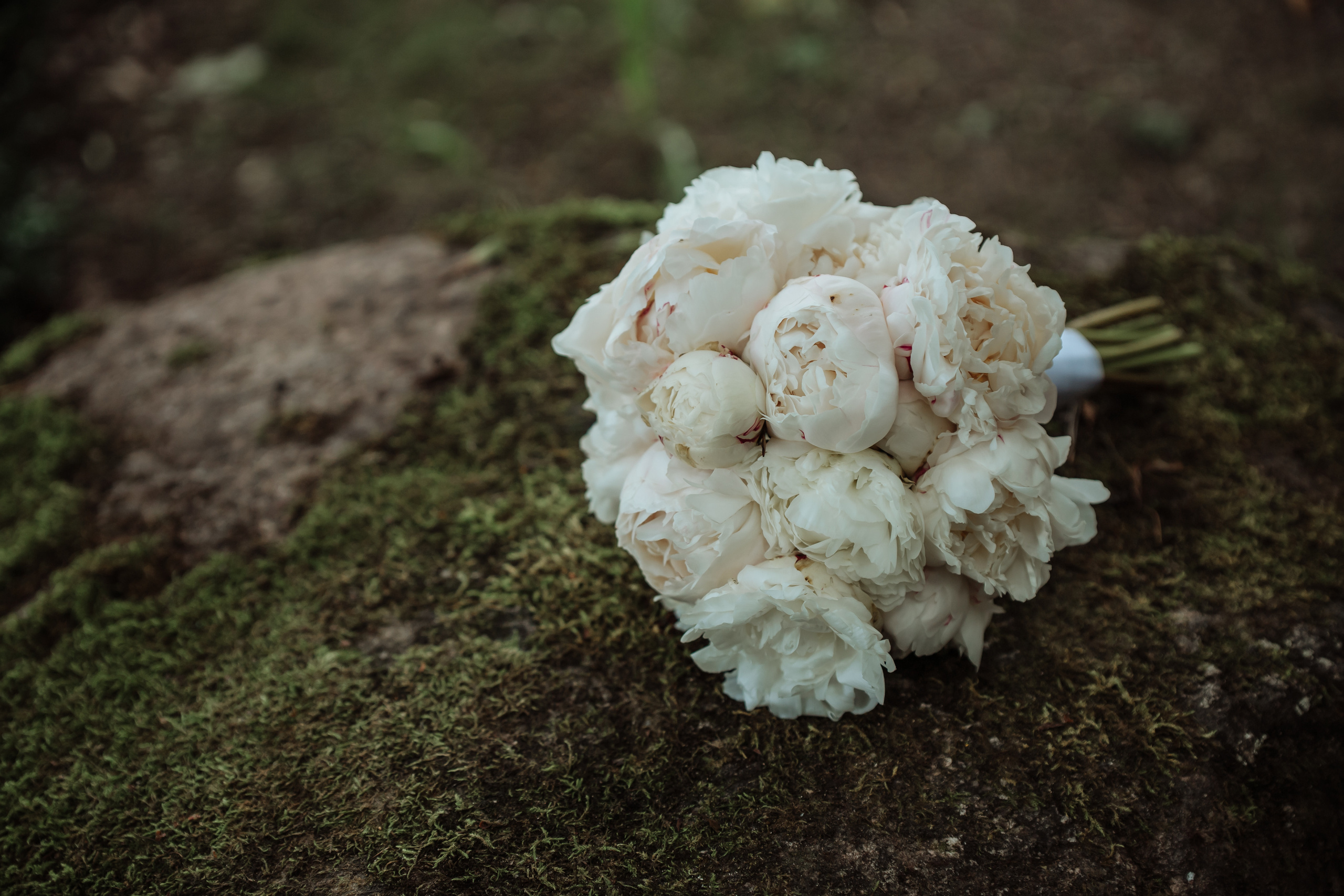 Sandra & Tomas. Wedding, christening and family photographers in Vilnius, Lithuania