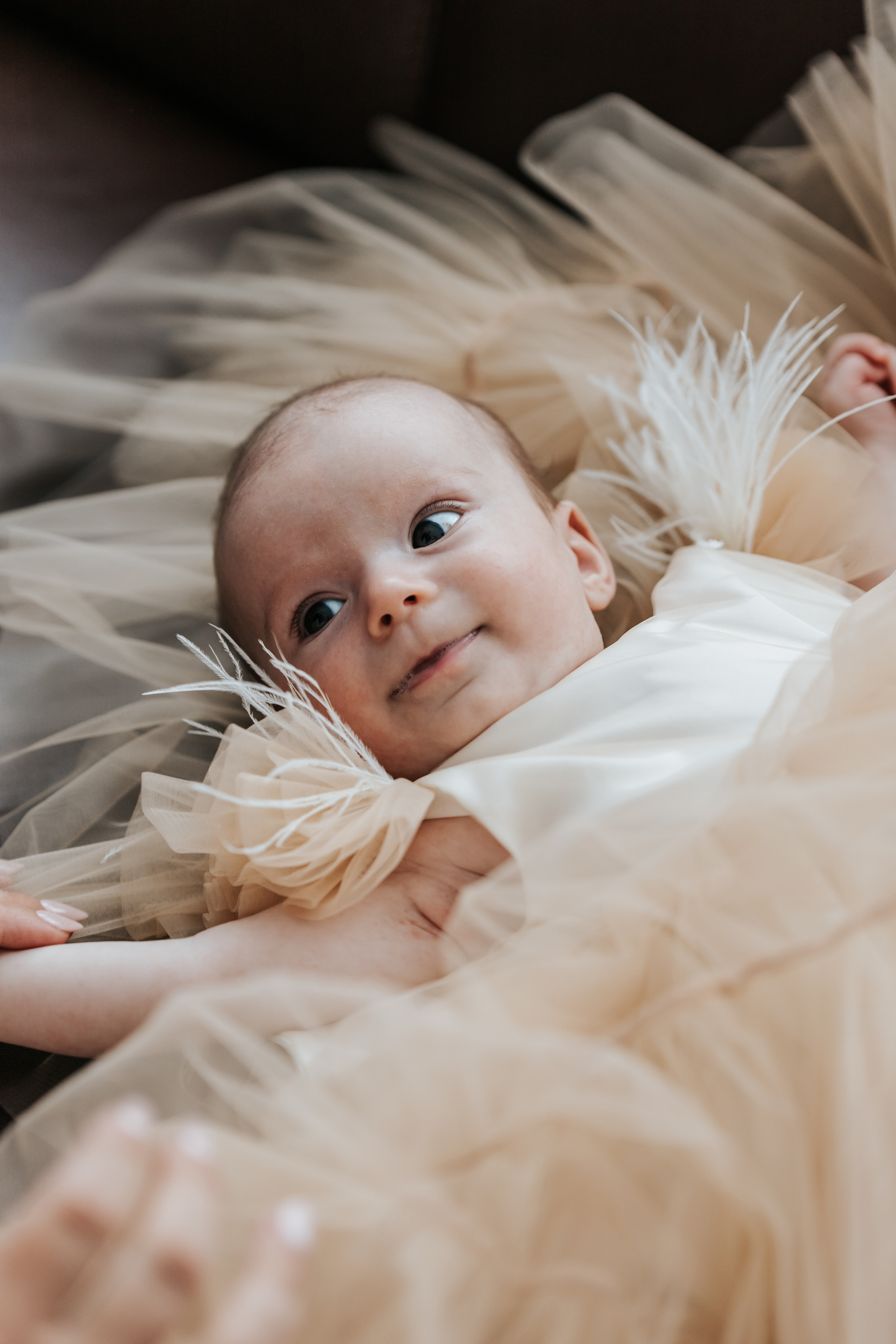 Sofijos krikštynos. Wedding, christening and family photographers in Vilnius, Lithuania