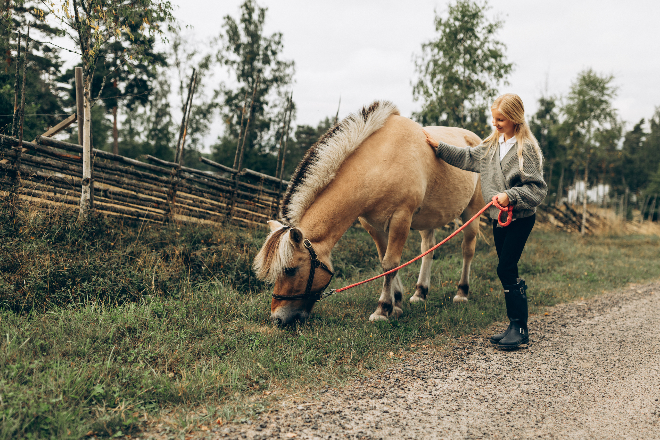 Friend. Family photographer in Stockholm Oksana Matviyiv