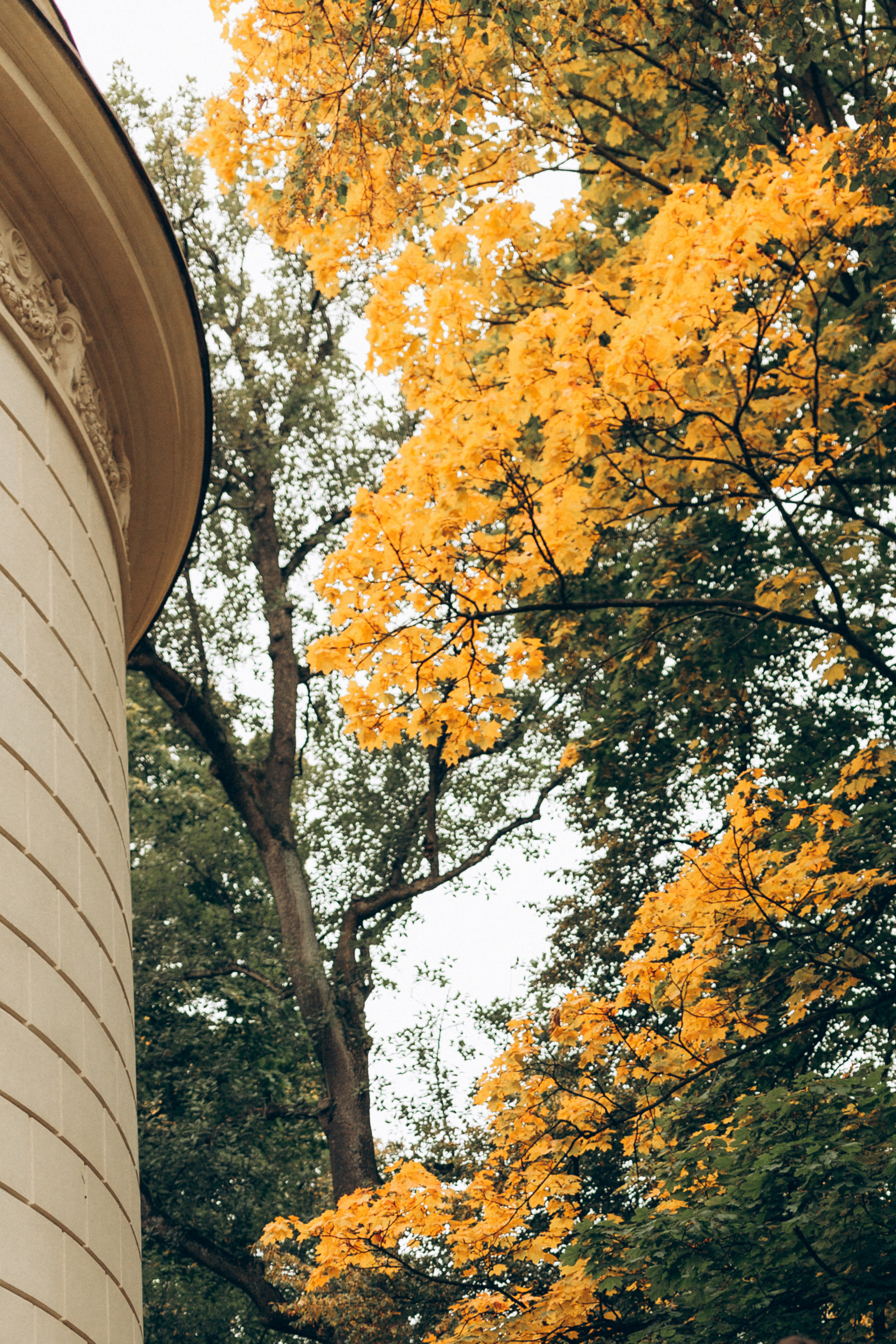 Ania. Family photographer in Stockholm Oksana Matviyiv