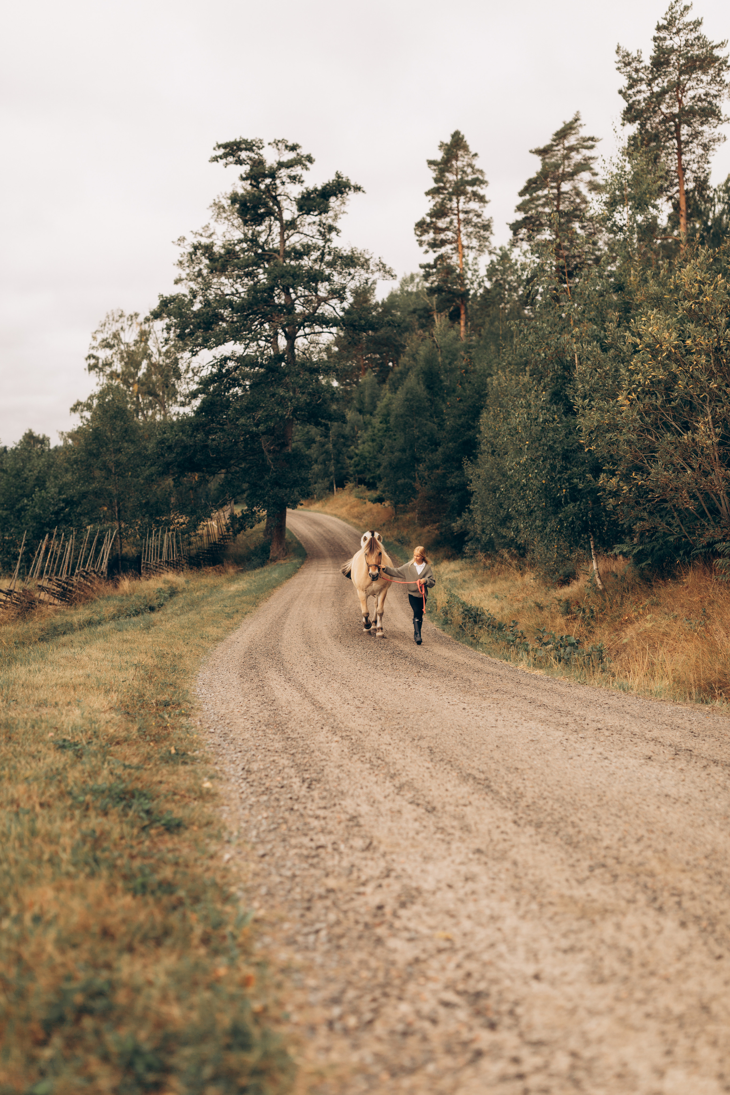 Friend. Family photographer in Stockholm Oksana Matviyiv