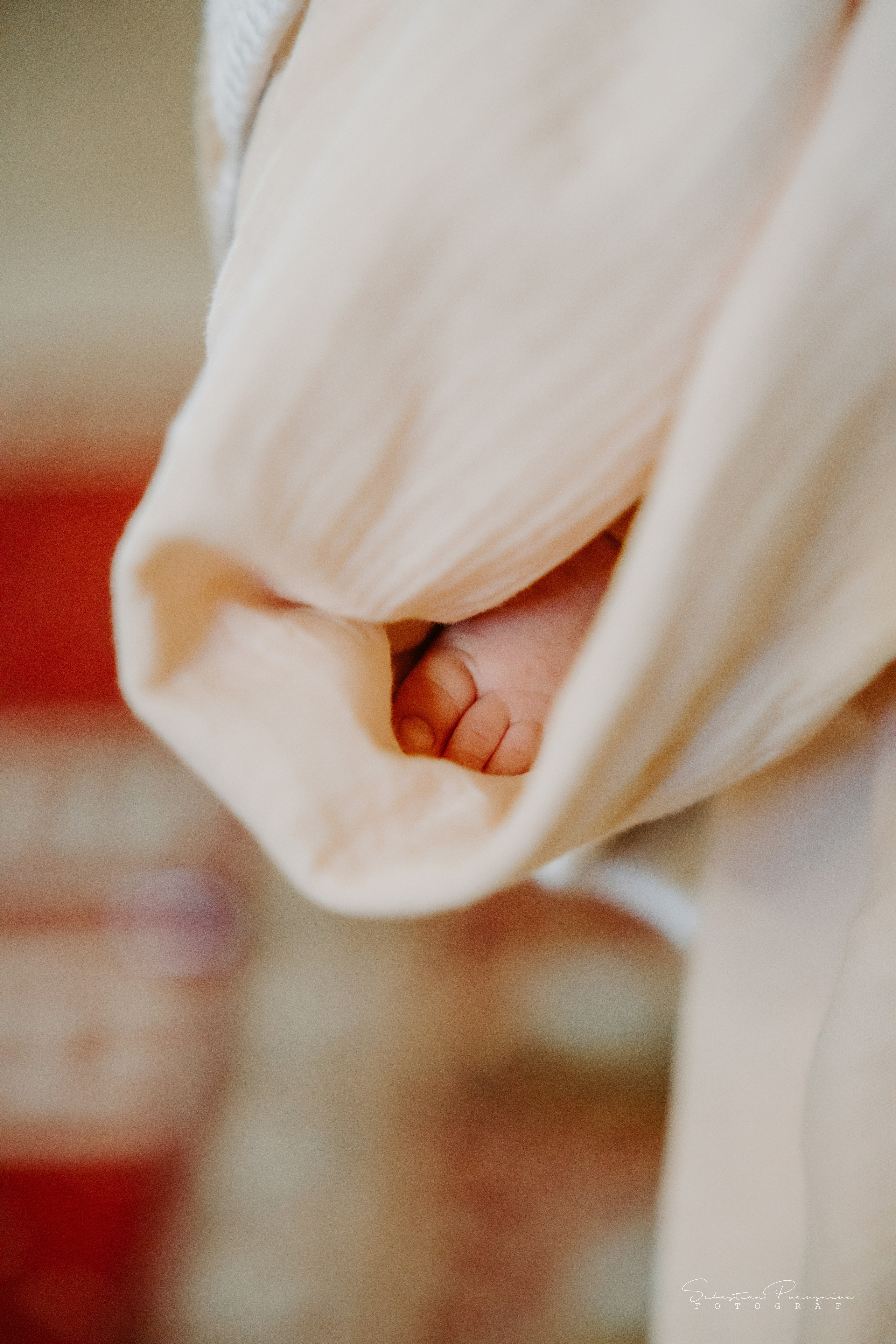 Lara-Olivia. Sebastian Purusniuc Fotograf - Iasi