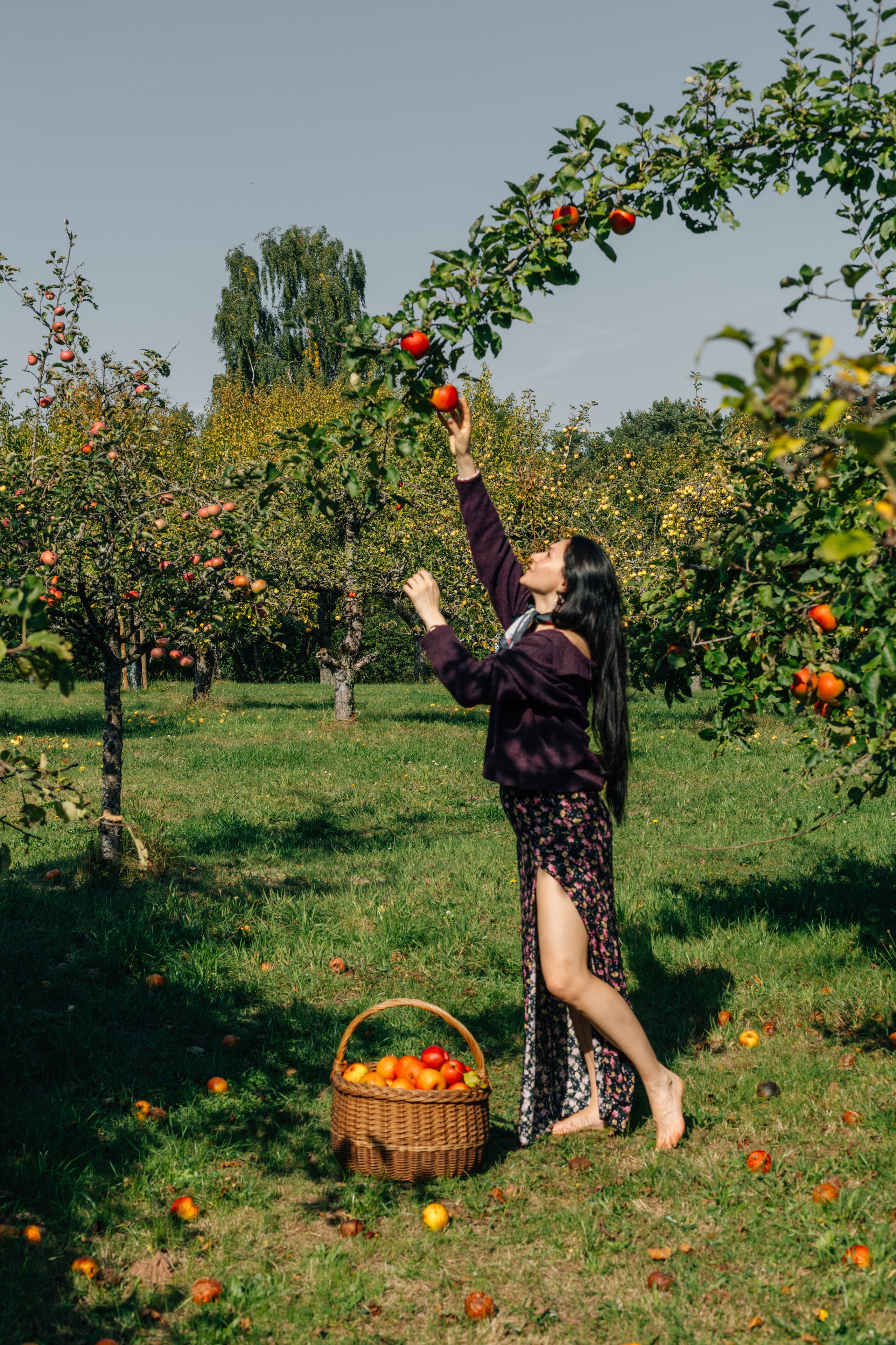 In Garten. PHOTOgrapher Germany MARBURG