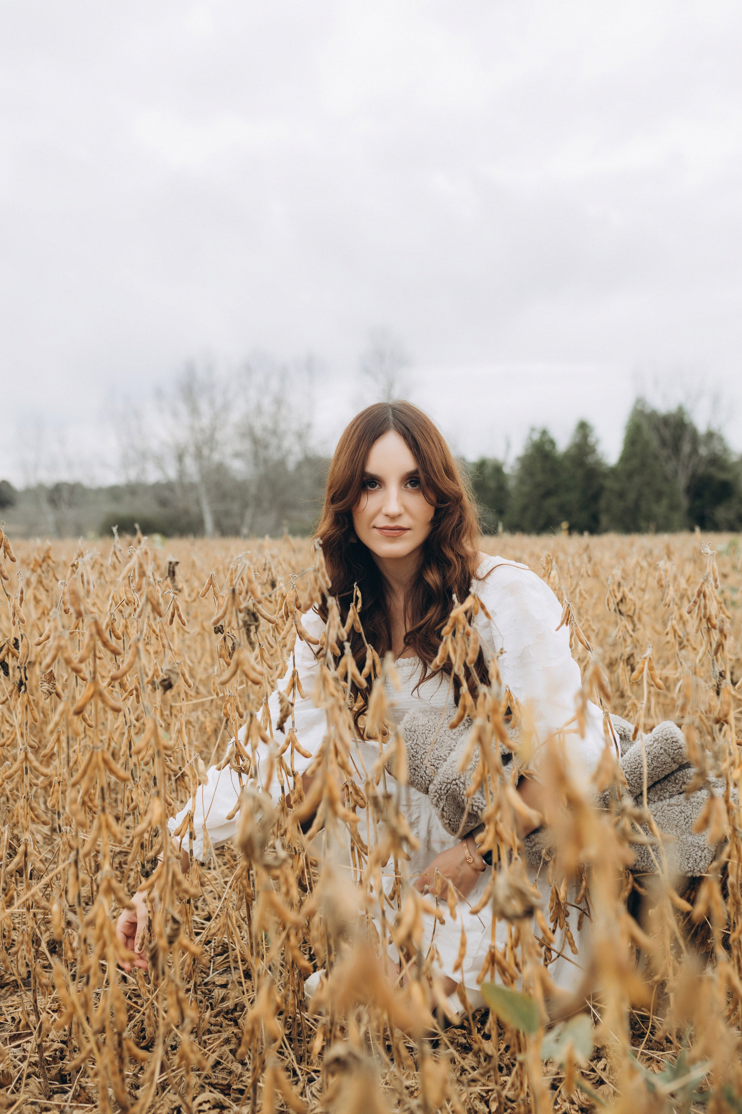 Alpacas Farm. Chernenko.photography