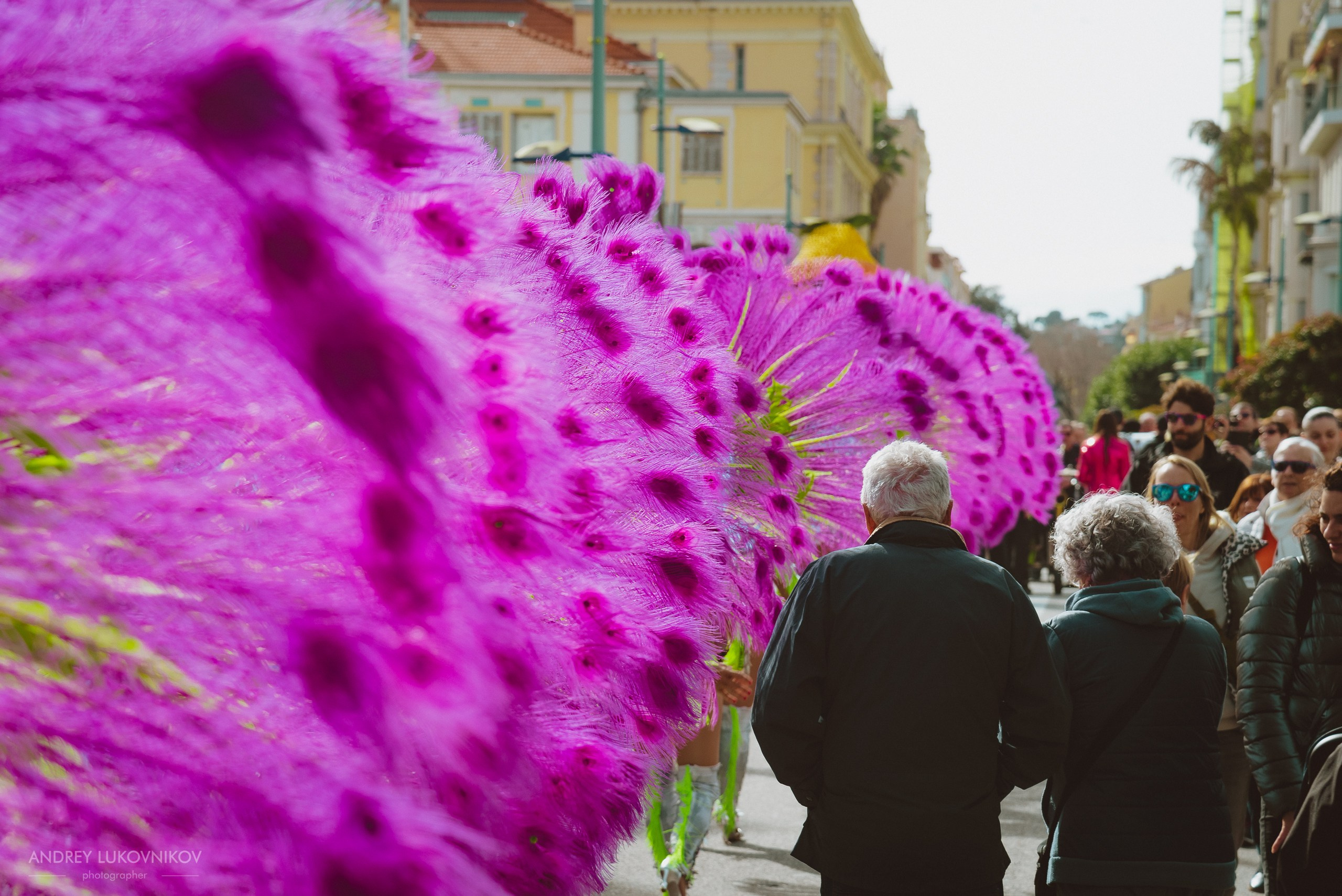 Photographer for visiting festivals and carnivals in Europe — Reportage from Menton, France