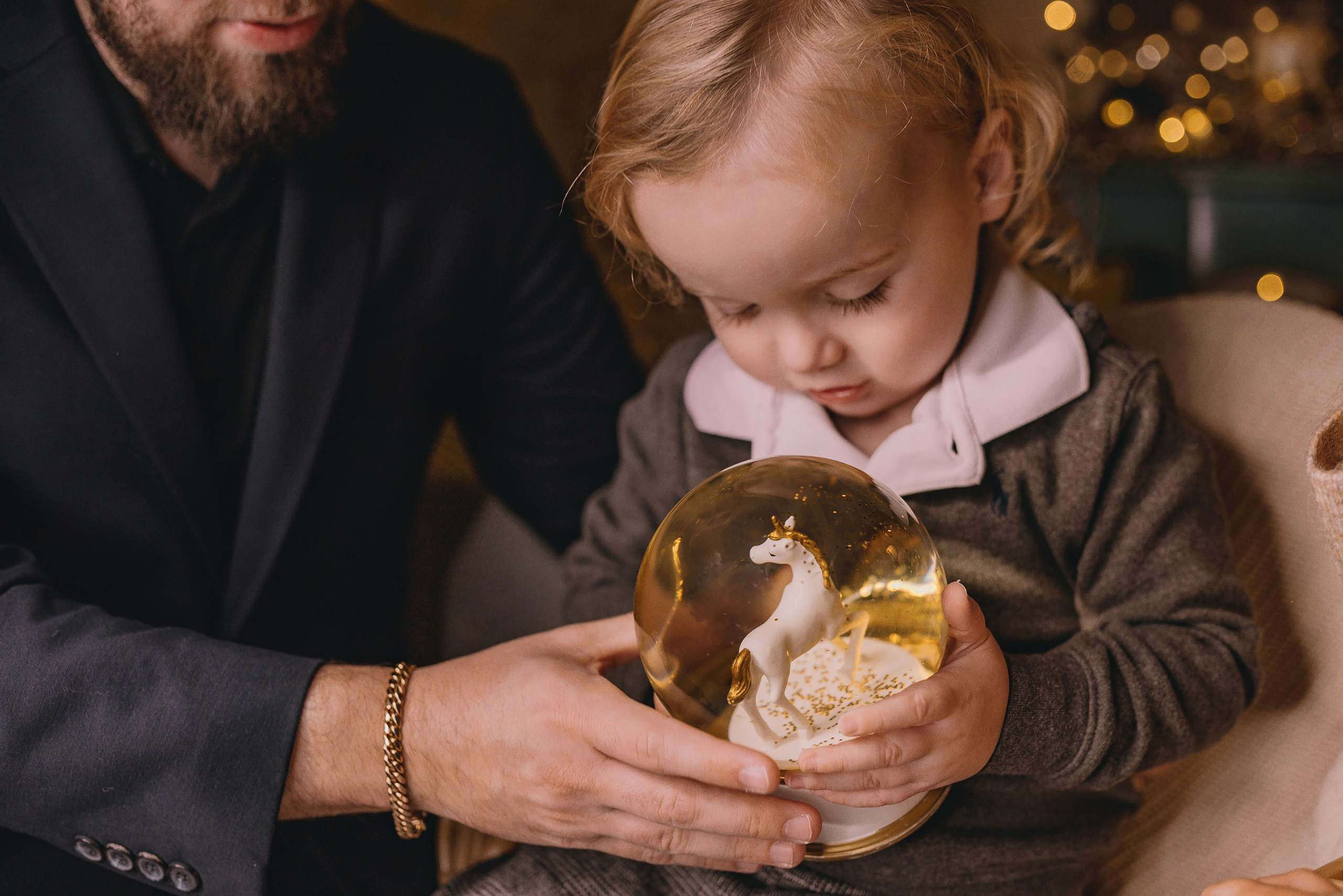 11.16.2025 Christmas Photoshoot. Wedding family event photographer in Chicago Nick Yushevich