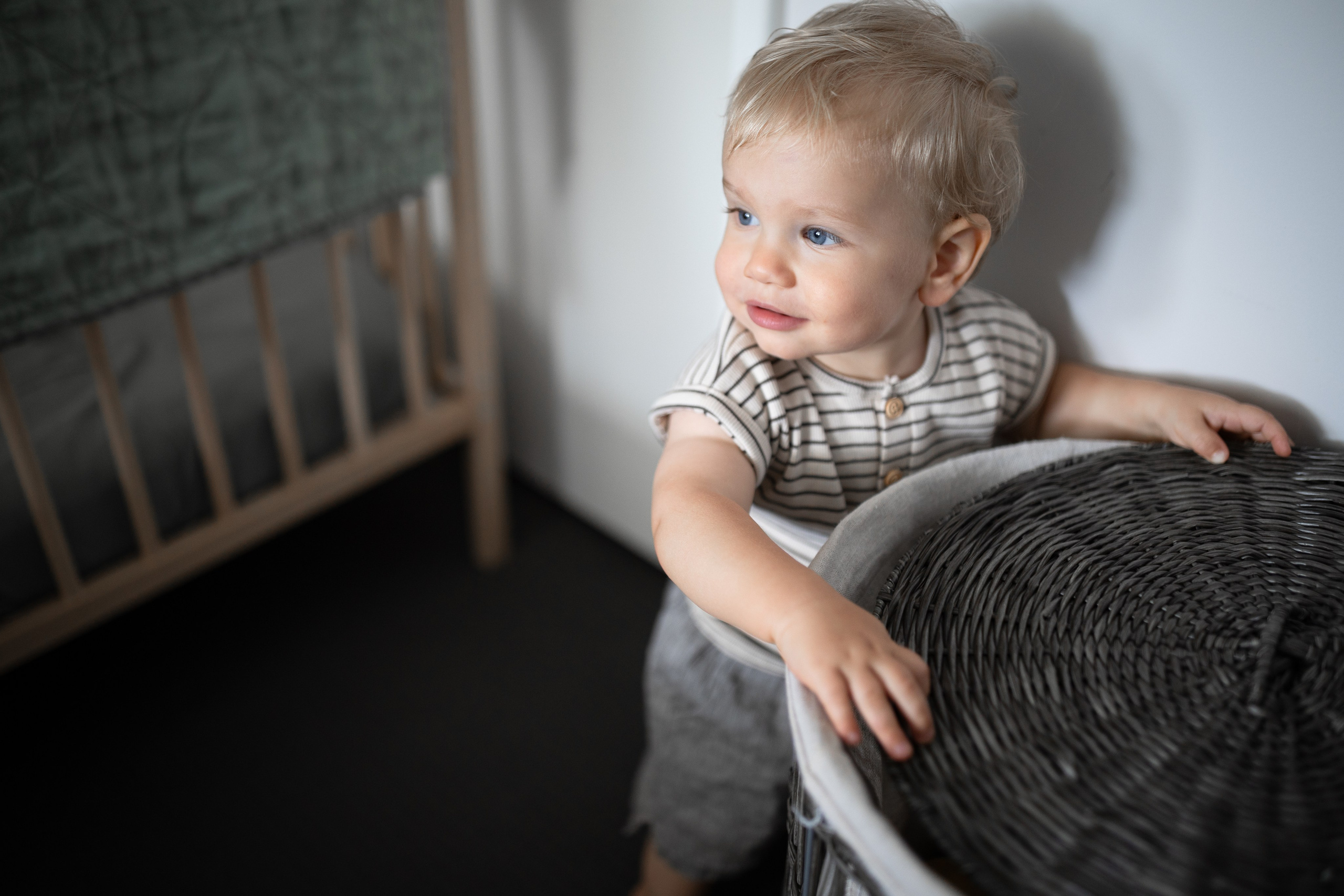 Photos from different family photoshoots