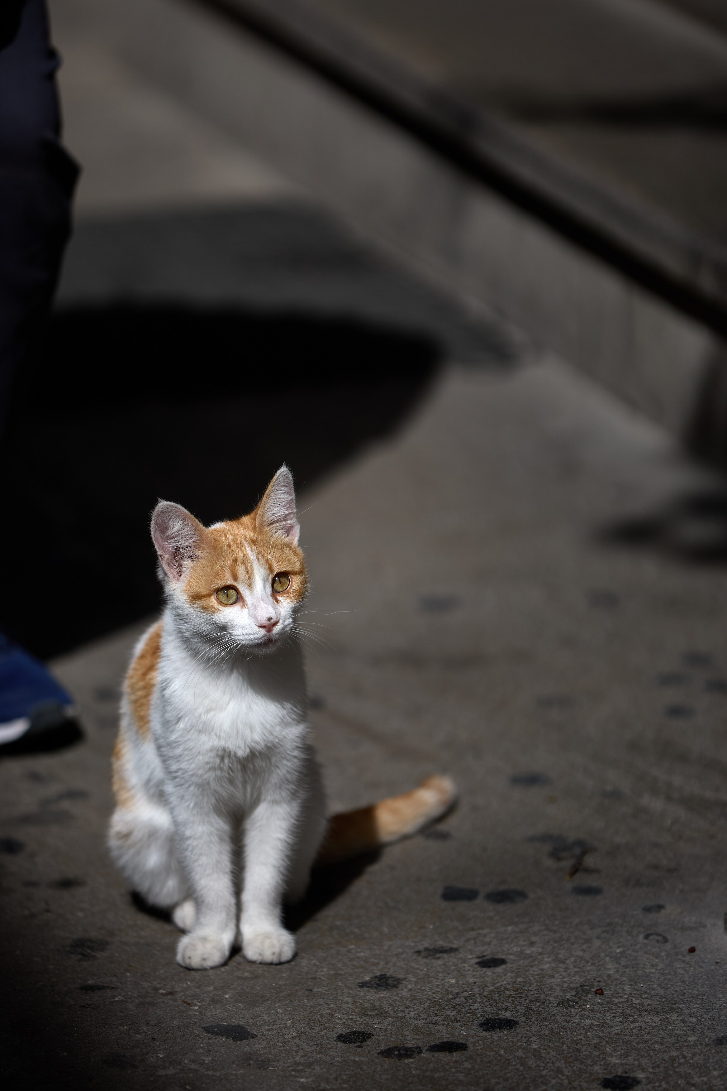 Экскурсия по Баку. День 2. Photographer in Baku Kamran Enceladus