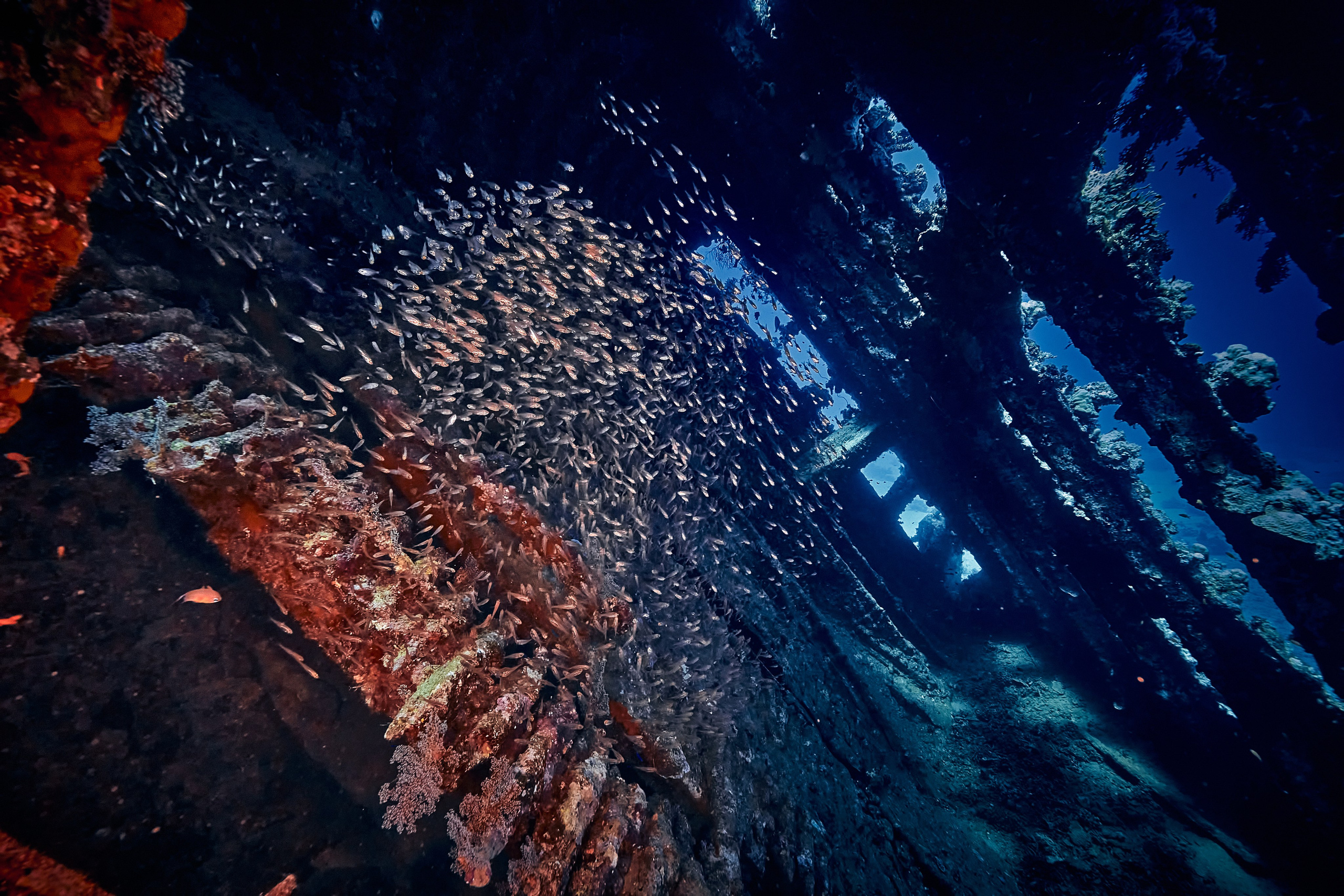 Podwodny fotograf - Andriej Szypiłow - zdjęcia wraków. Andriej Szypilow - Fotografia & Wideografia