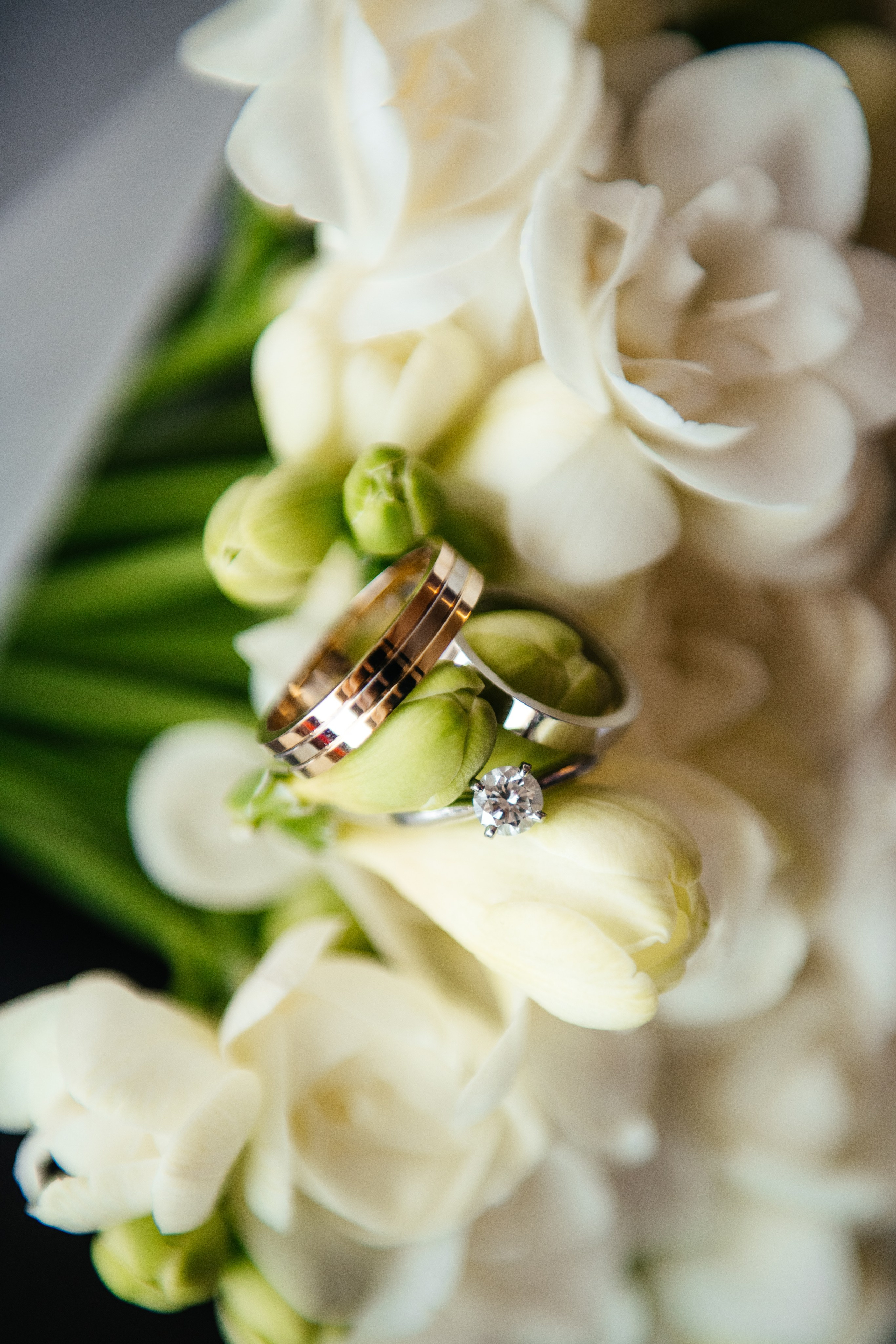 PORTFOLIO. I am Elena Altendorfer. Wedding photographer in Zurich and Switzerland