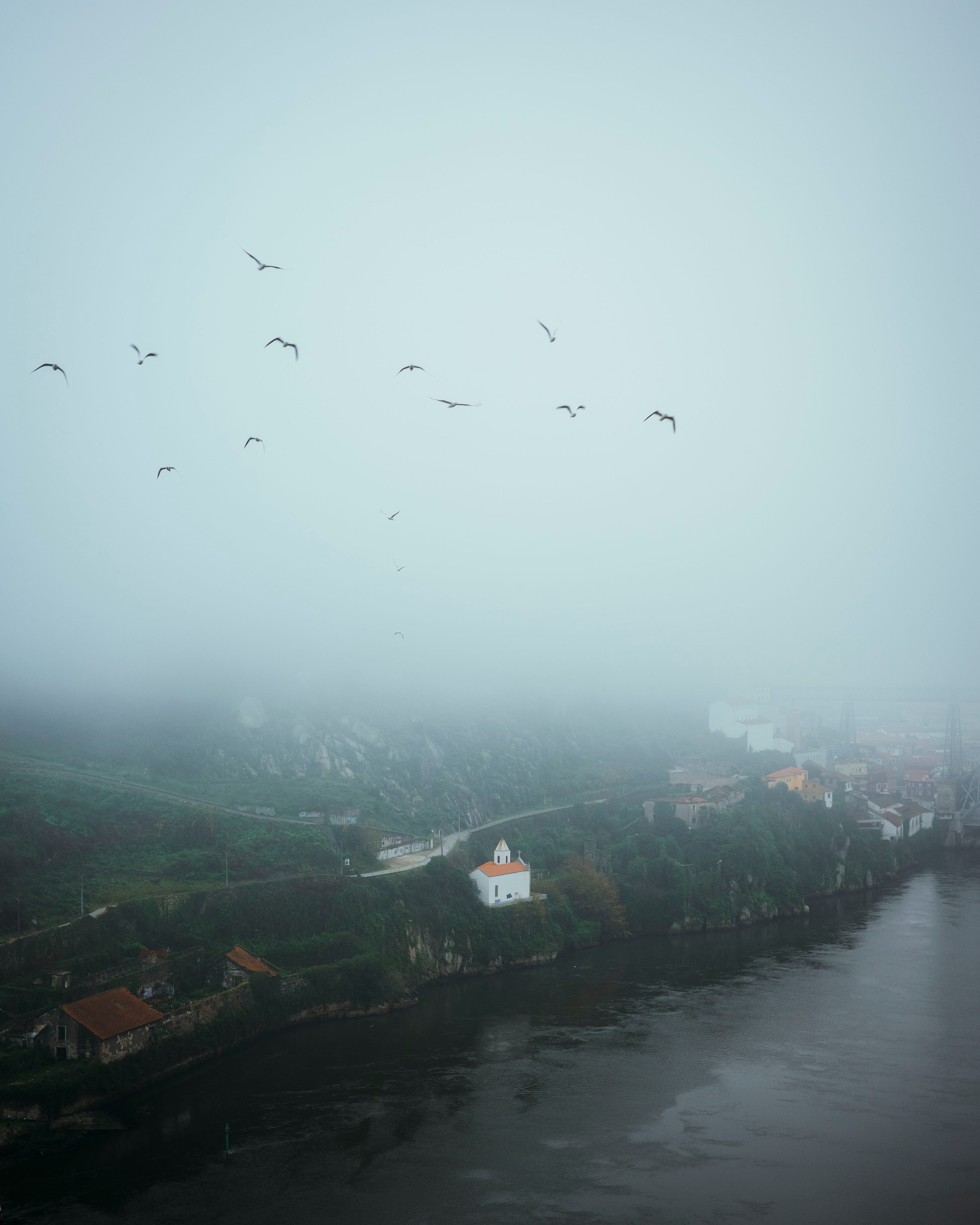 Работы Марии Шер. Sher.SCHOOL