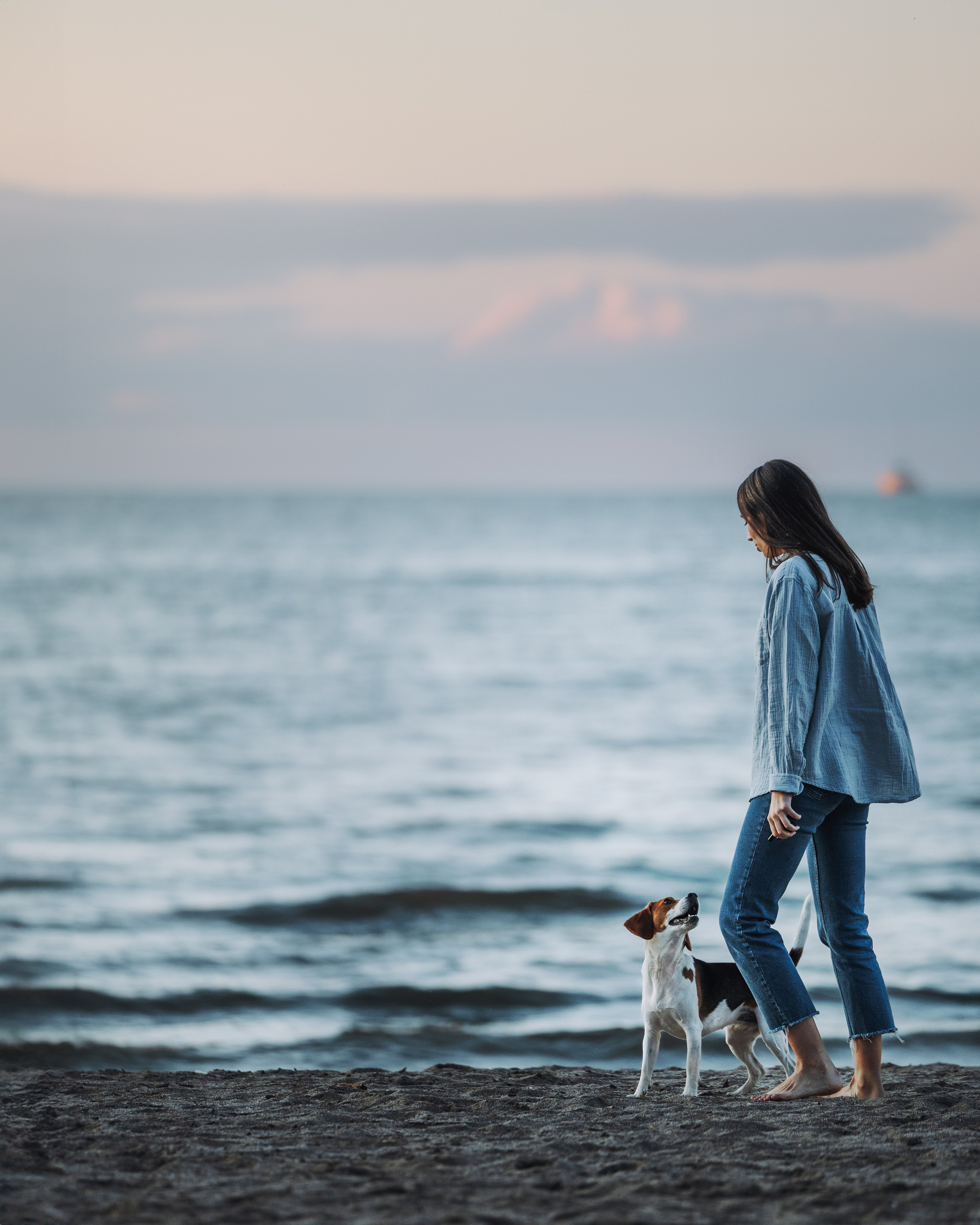 Maxine & Sarah. Pet Photographer Viktoriya Aleshenko