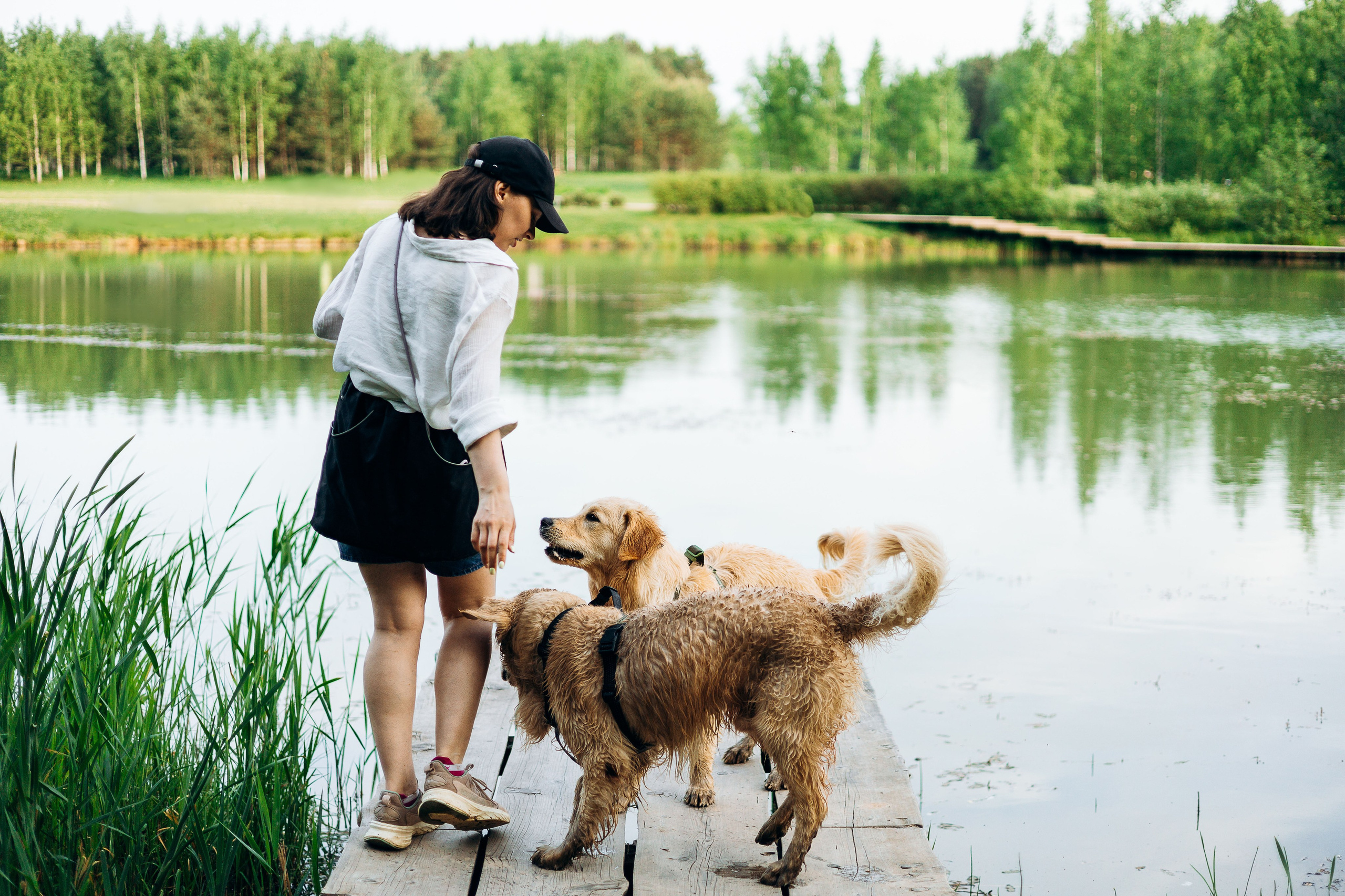 Настя, Арчи, Арагон. Фотограф-анималист | Белград